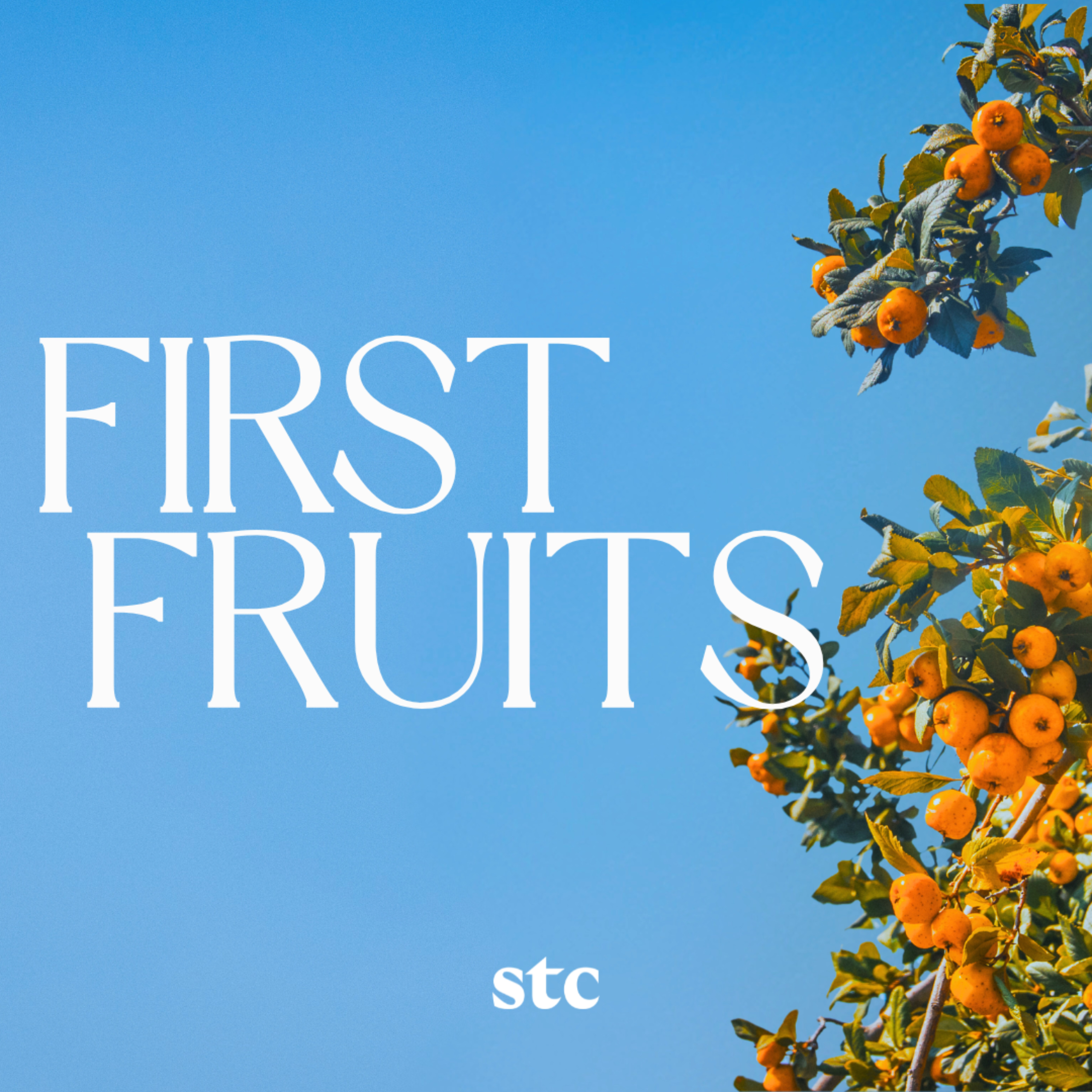 God Still Speaks - Femi Onanuga | First Fruits episode artwork