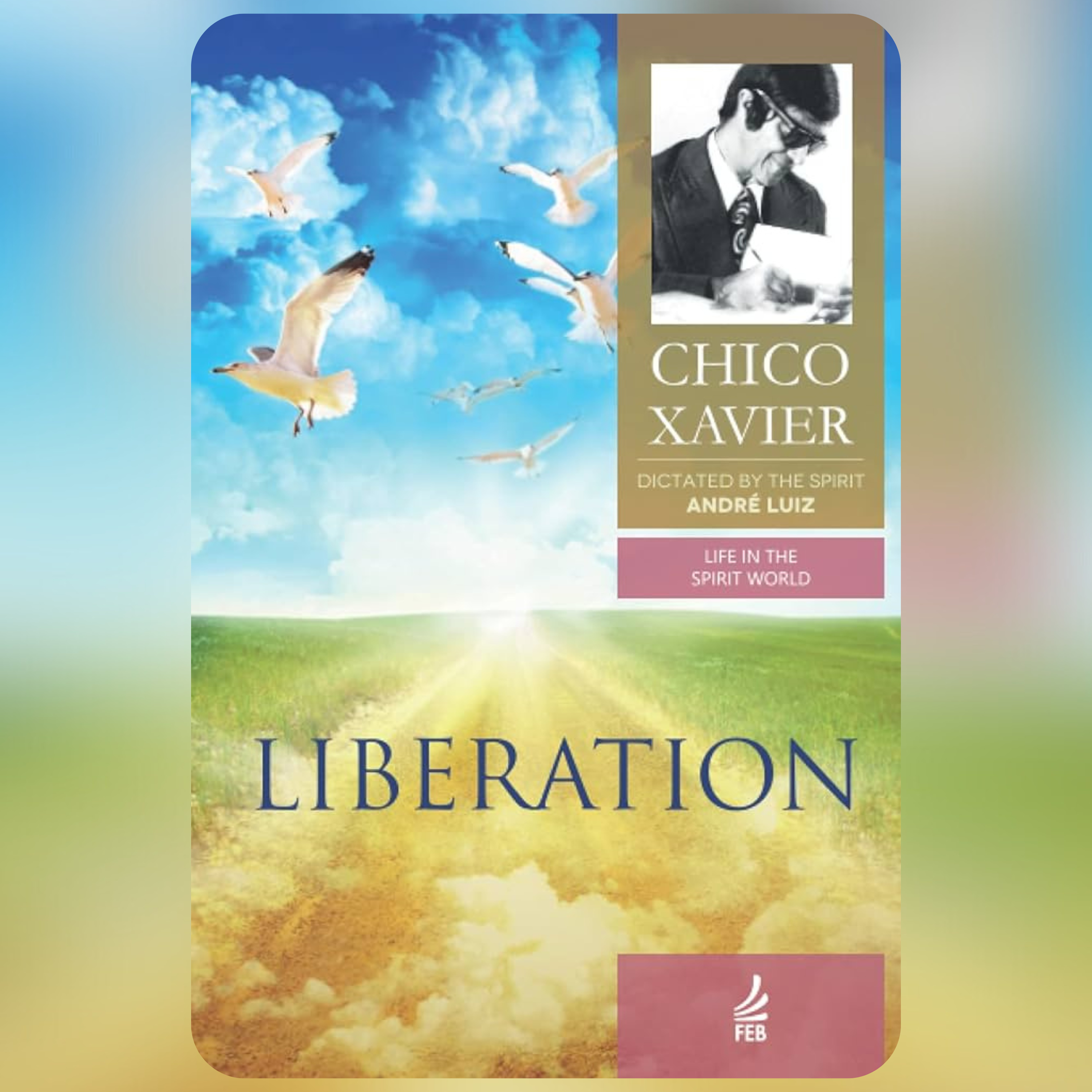 Audiobook - Liberation: Life in the Spirit World Collection - Book 6 episode artwork