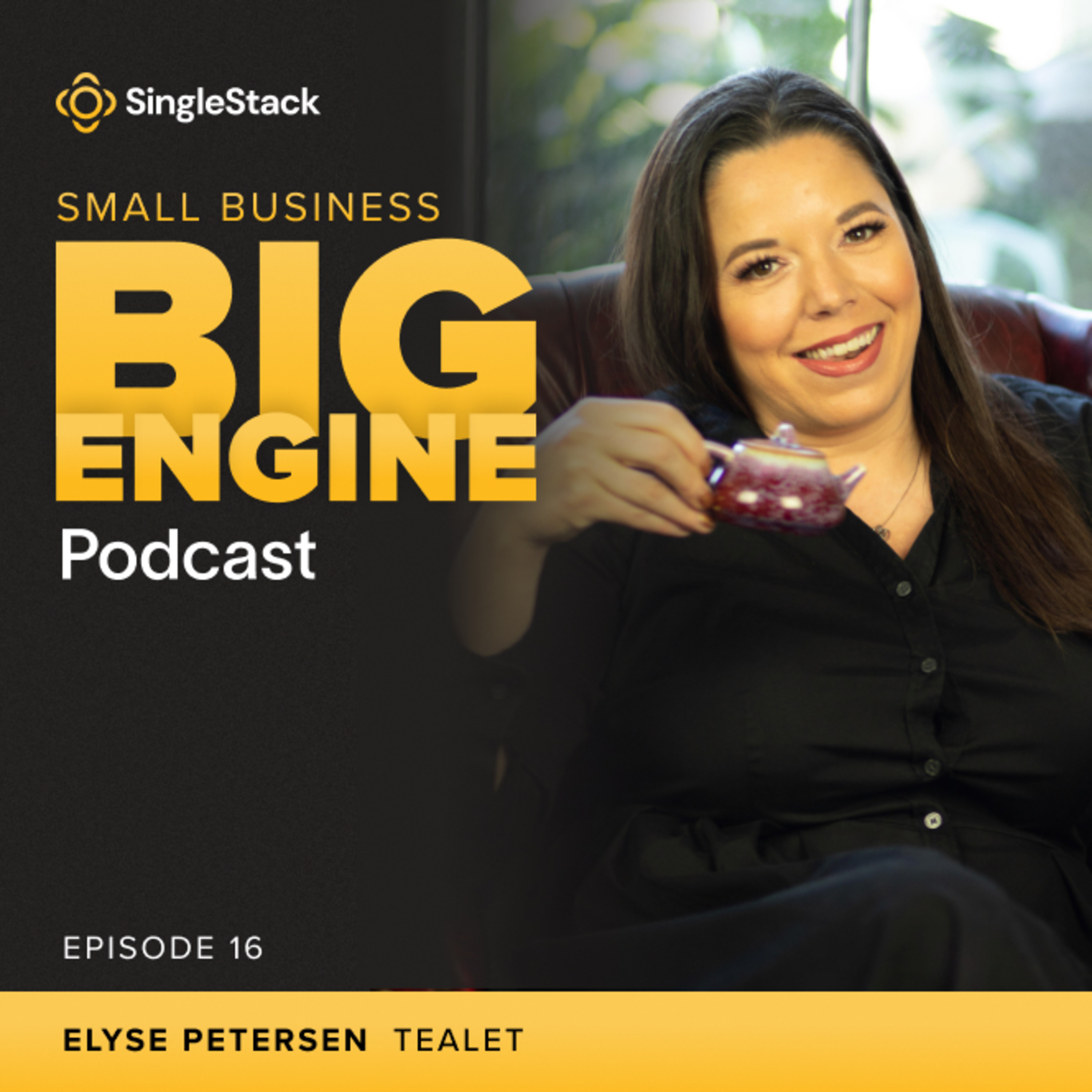 How a Startup Weekend Pitch Led to a Global Marketplace - Elyse Petersen - Tealet episode artwork