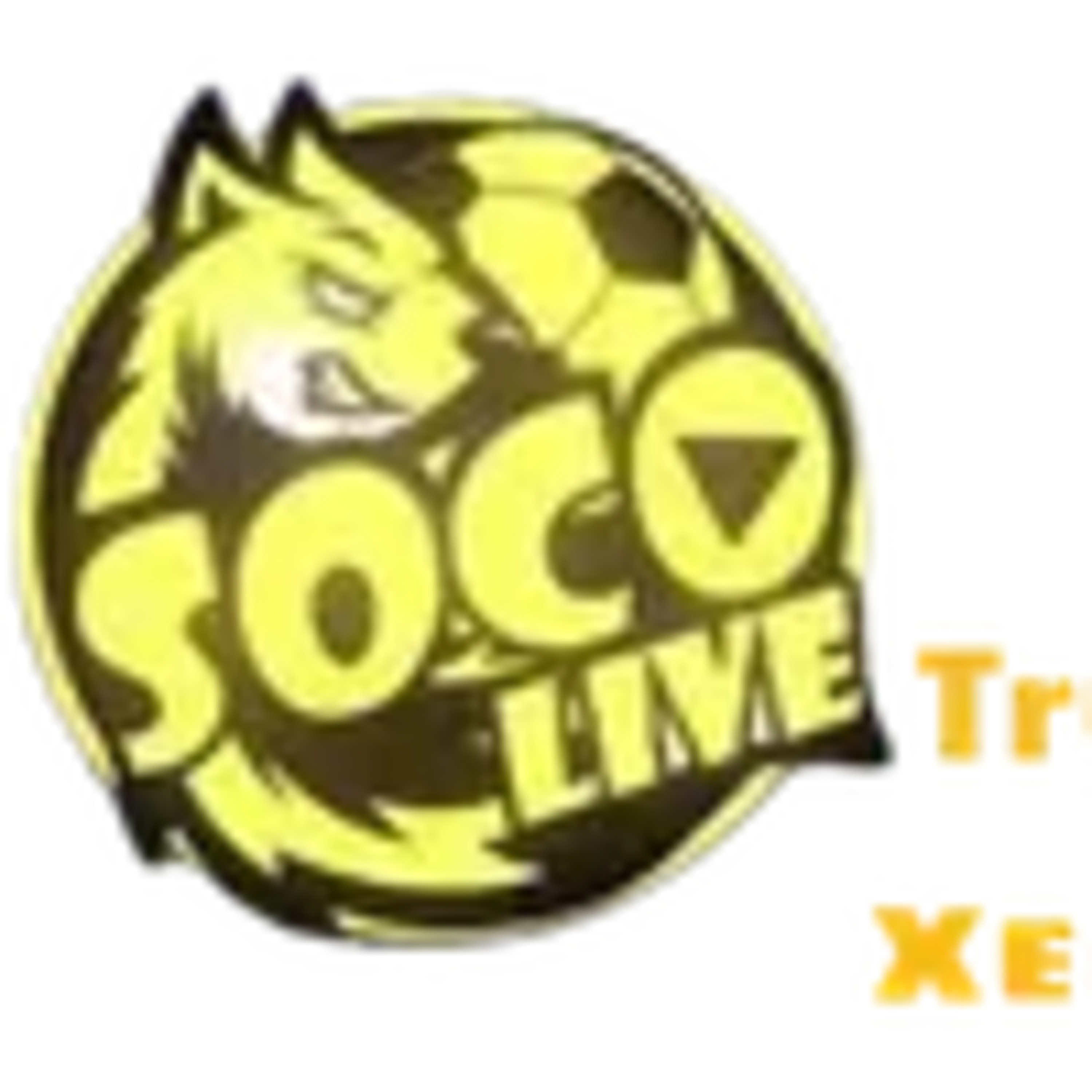 Trang web Socolive