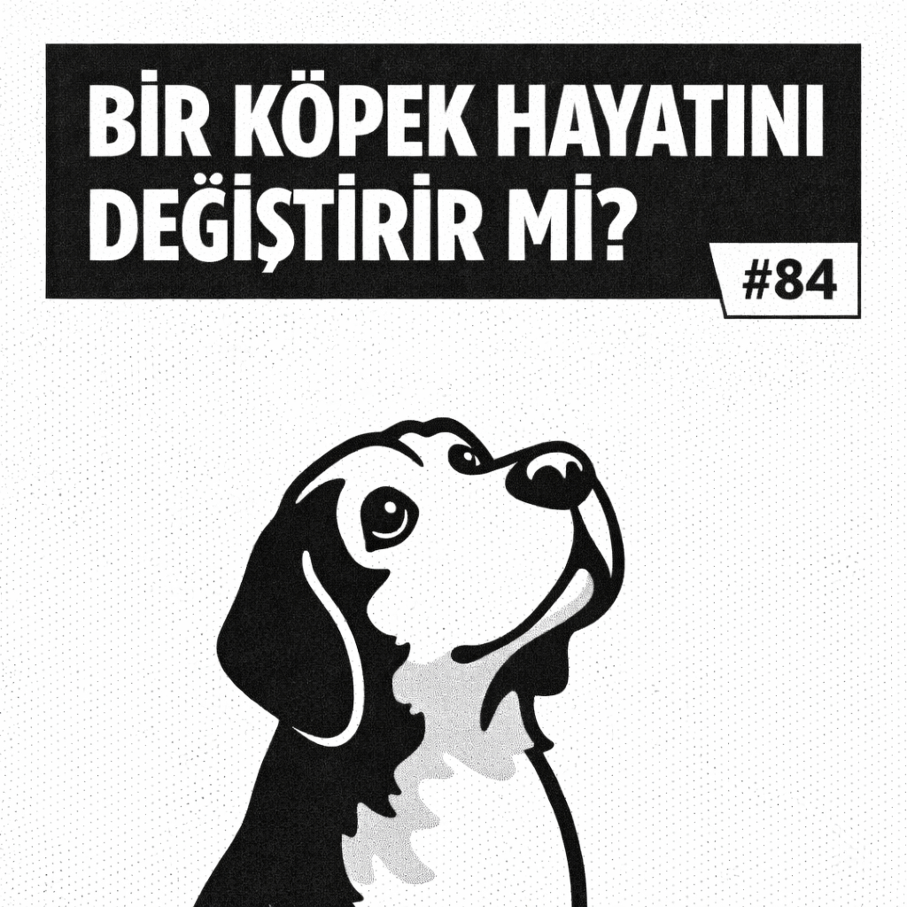 #83 | Köpekler Bizi Daha İyi İnsan Yapar mı? Bu Kitap Köpeklere Bakışını Değiştirecek | This Dog Will Change Your Life (The Dogist) episode artwork