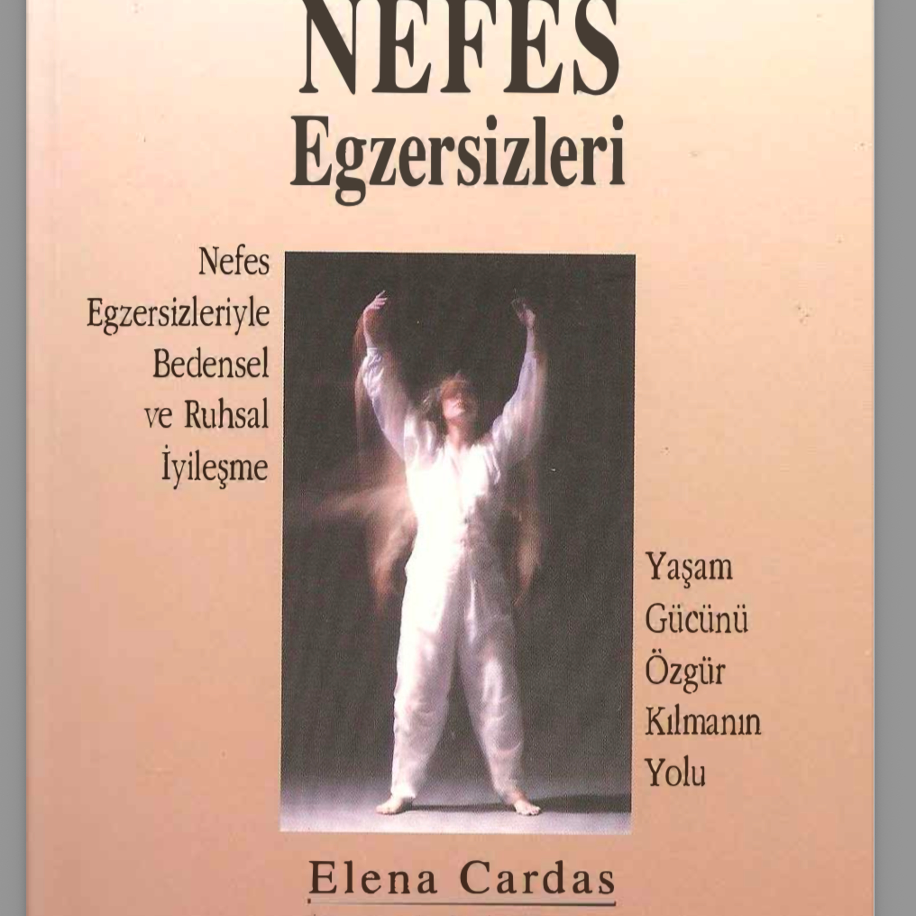 Özgün eserlerin Yapay Zeka destekli sesli incelemeleri / Ai-assisted voice analyses of original work