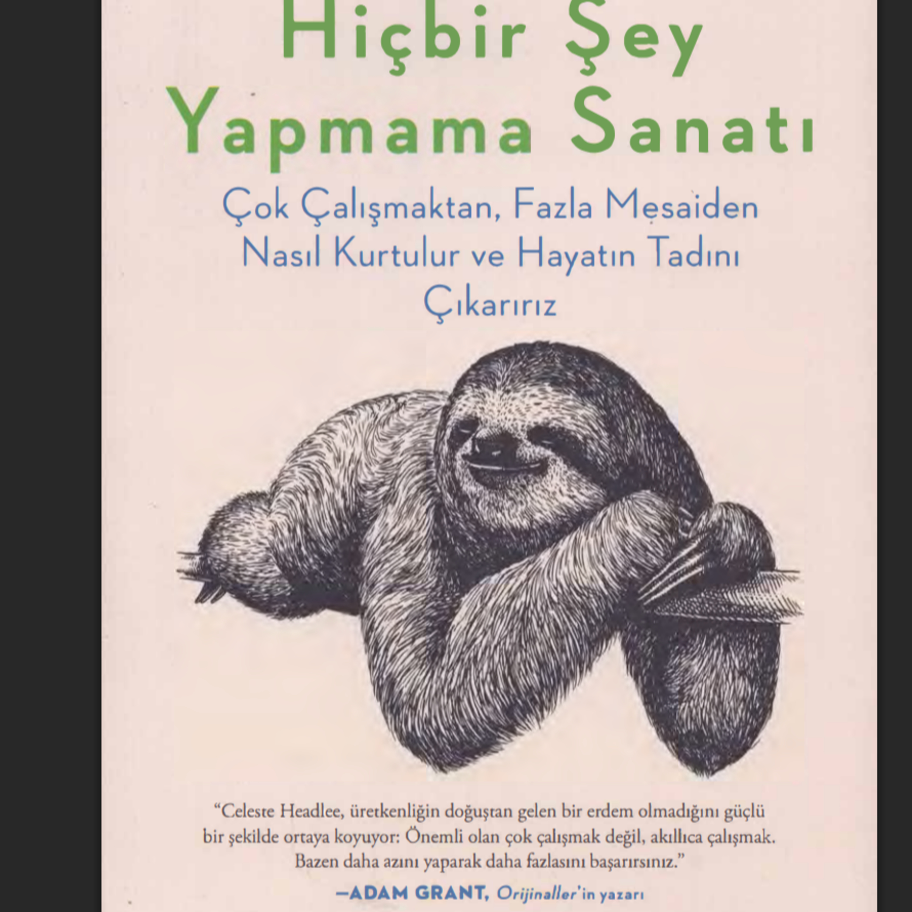 🛌 Hiçbir Şey Yapmama Sanatı /Çok Çalışma Kültürü ve Gerçek Hayat-Celeste Headlee episode artwork