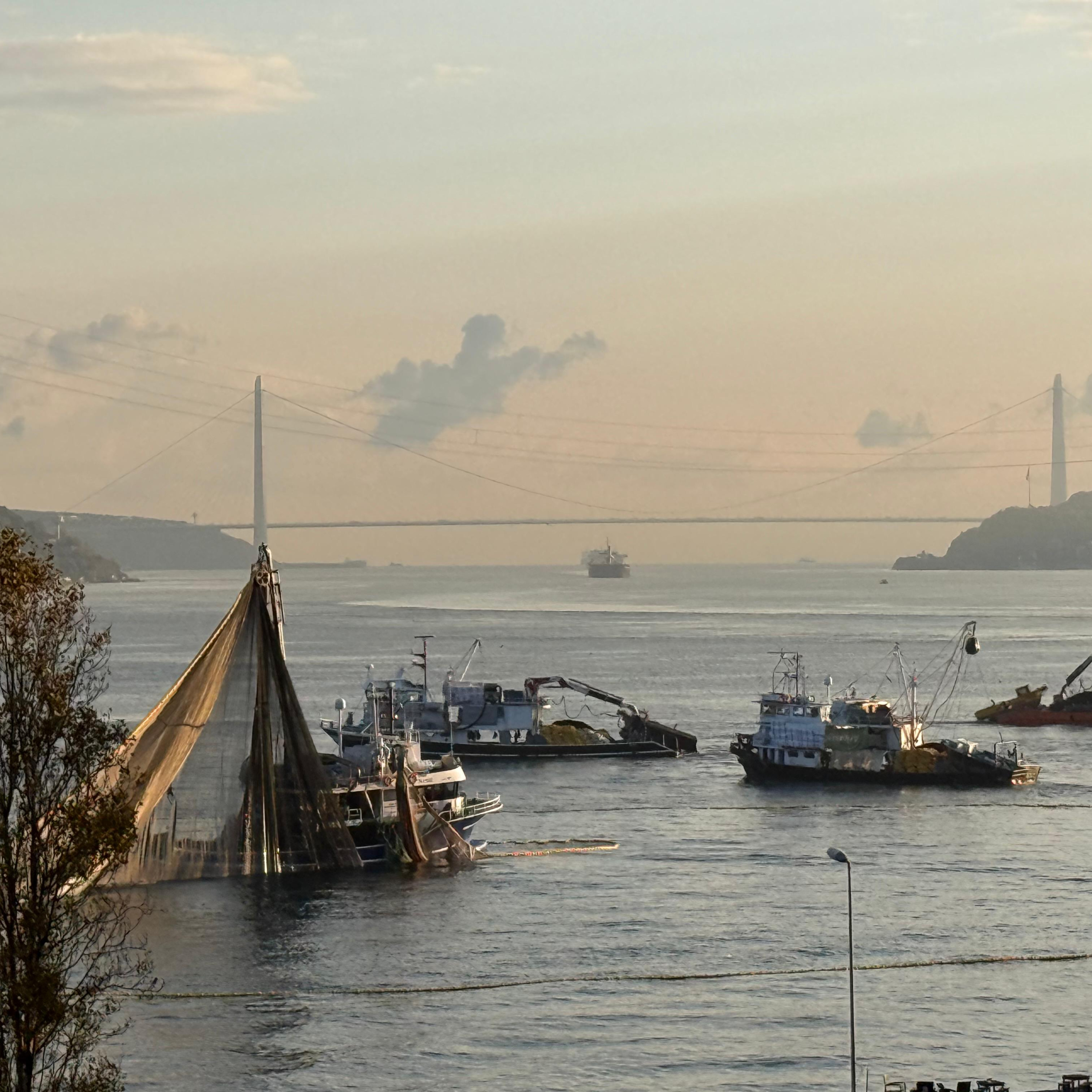 Stop the Slaughter.Scientists Declare War on Destructive Fishing on Boshporus and Dardanelles Straits episode artwork