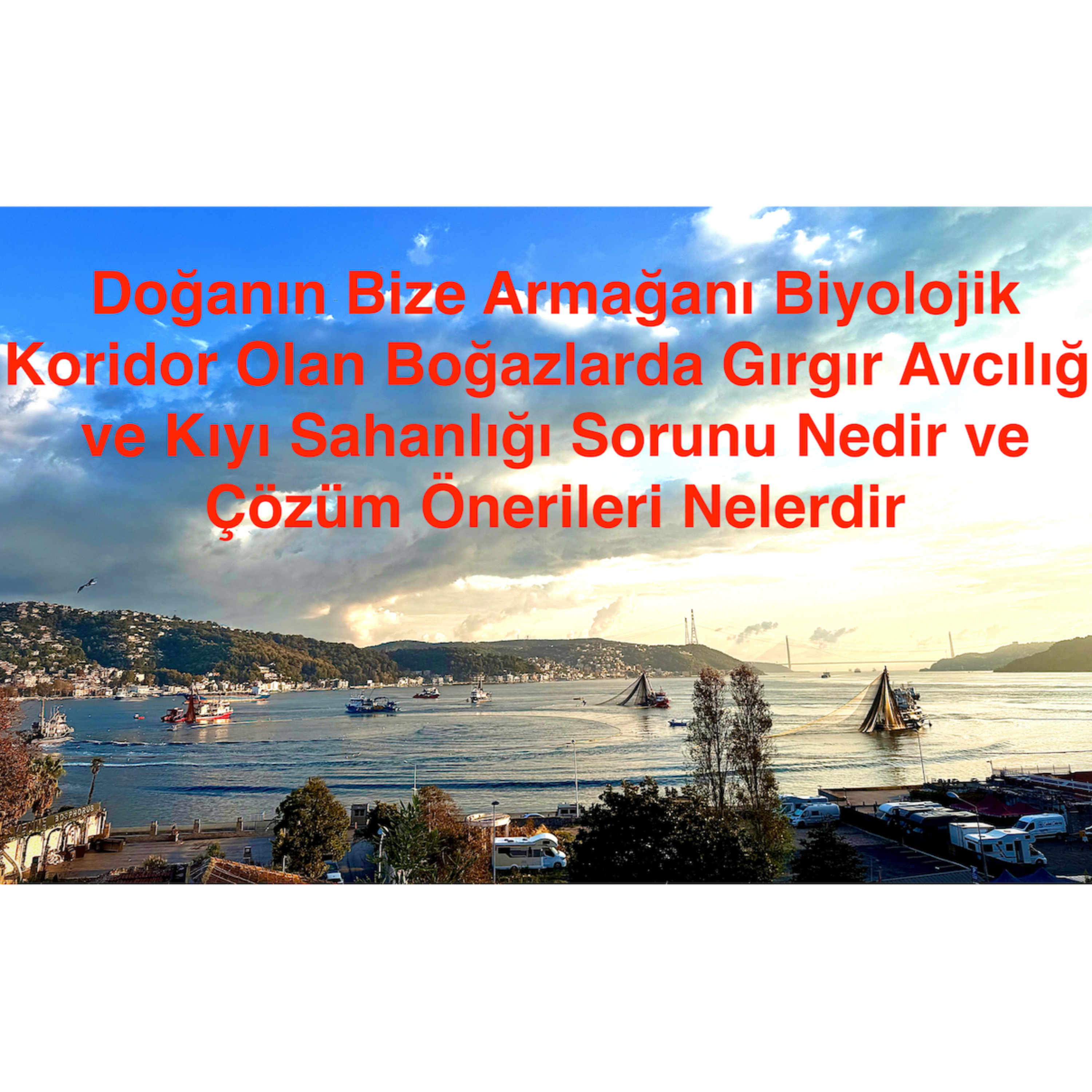 Boğazların Yardım Çığlığı: Endüstriyel Balık Avcılığı Sorunu episode artwork