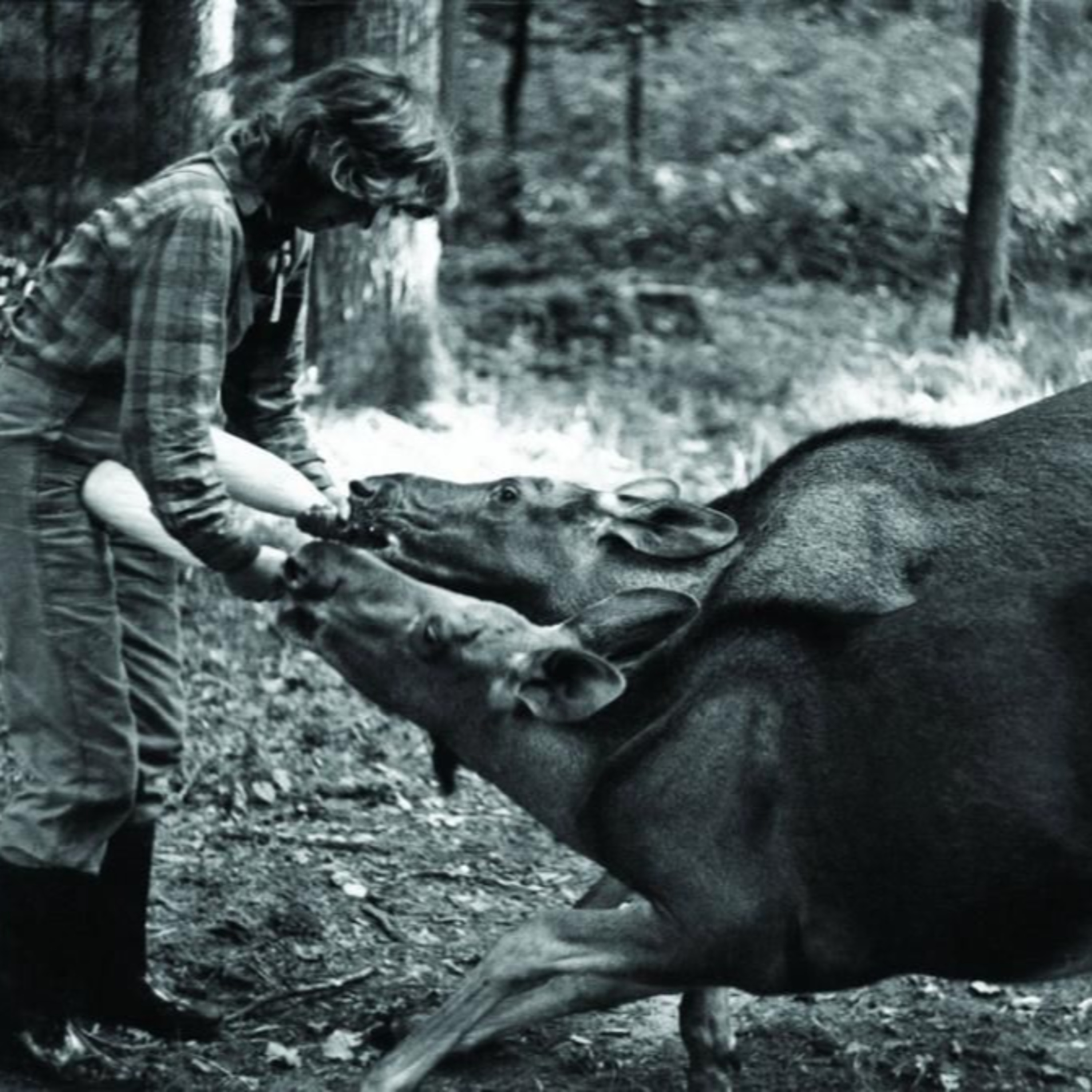 Simona Kossak: Gerçek Hayattaki Pamuk Prenses ile Sıra Dışı Bir Yaşam