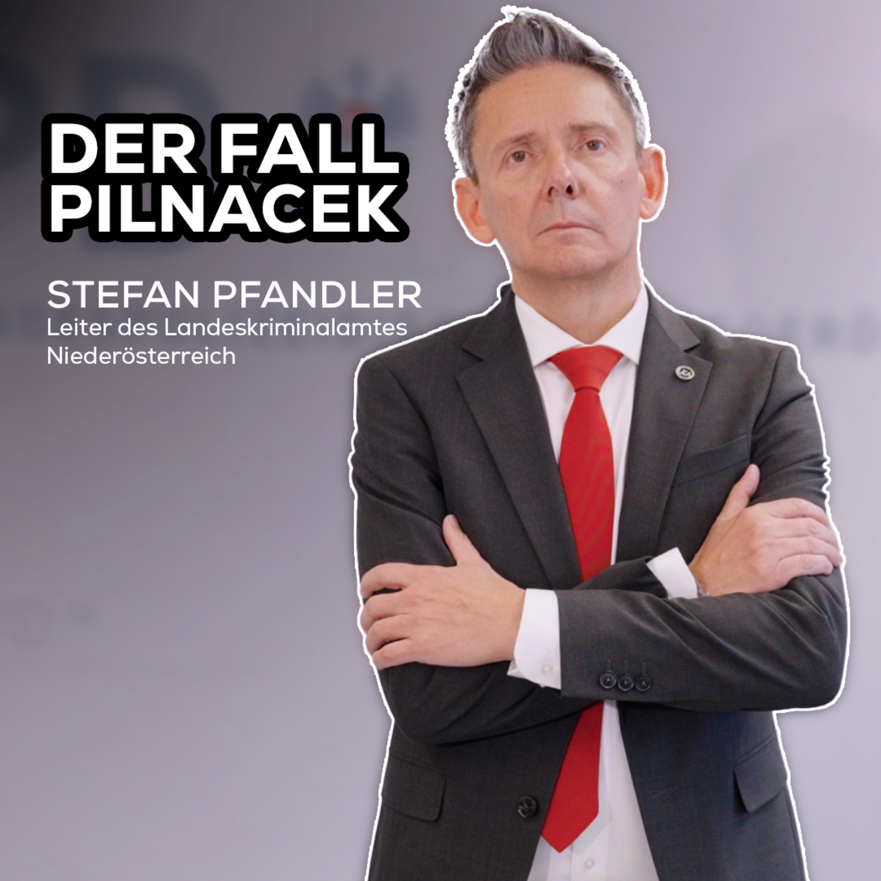 Der Fall #Pilnacek: "Ertrinken kann man auch in einem wenige Zentimeter tiefen Wasser" episode artwork