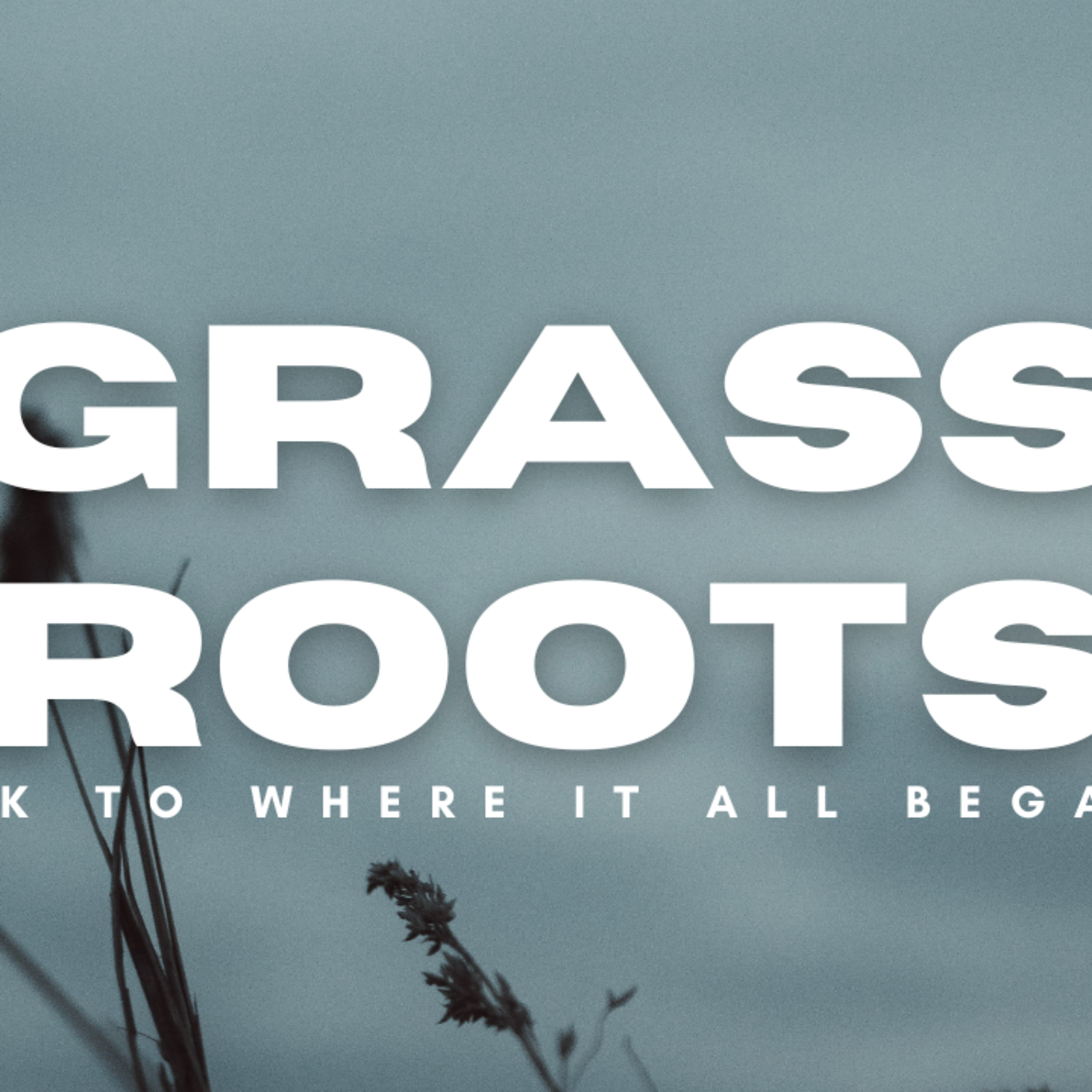 Grass Roots Back to where it all began episode artwork