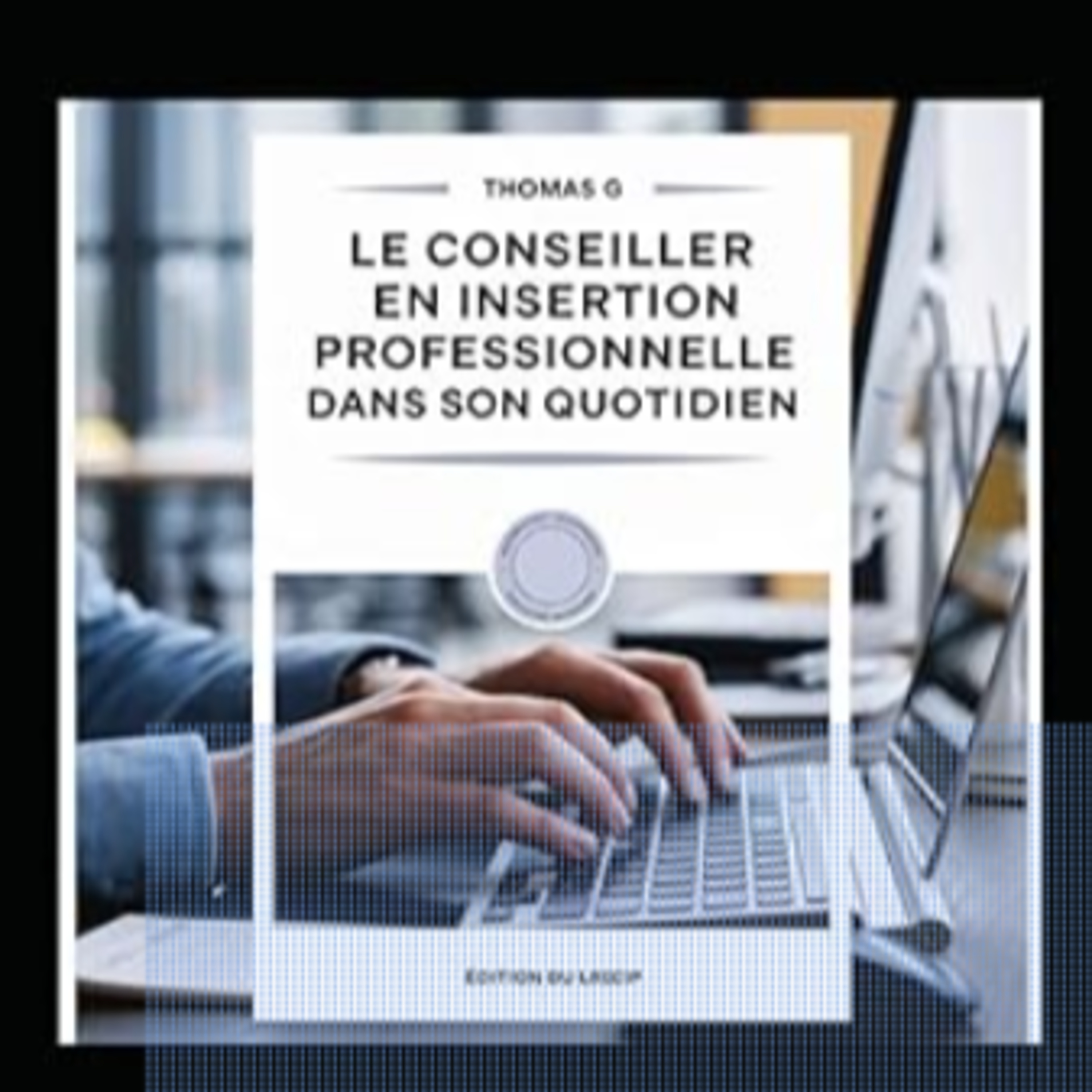 Métier de Conseiller en Insertion Professionnelle (CIP)