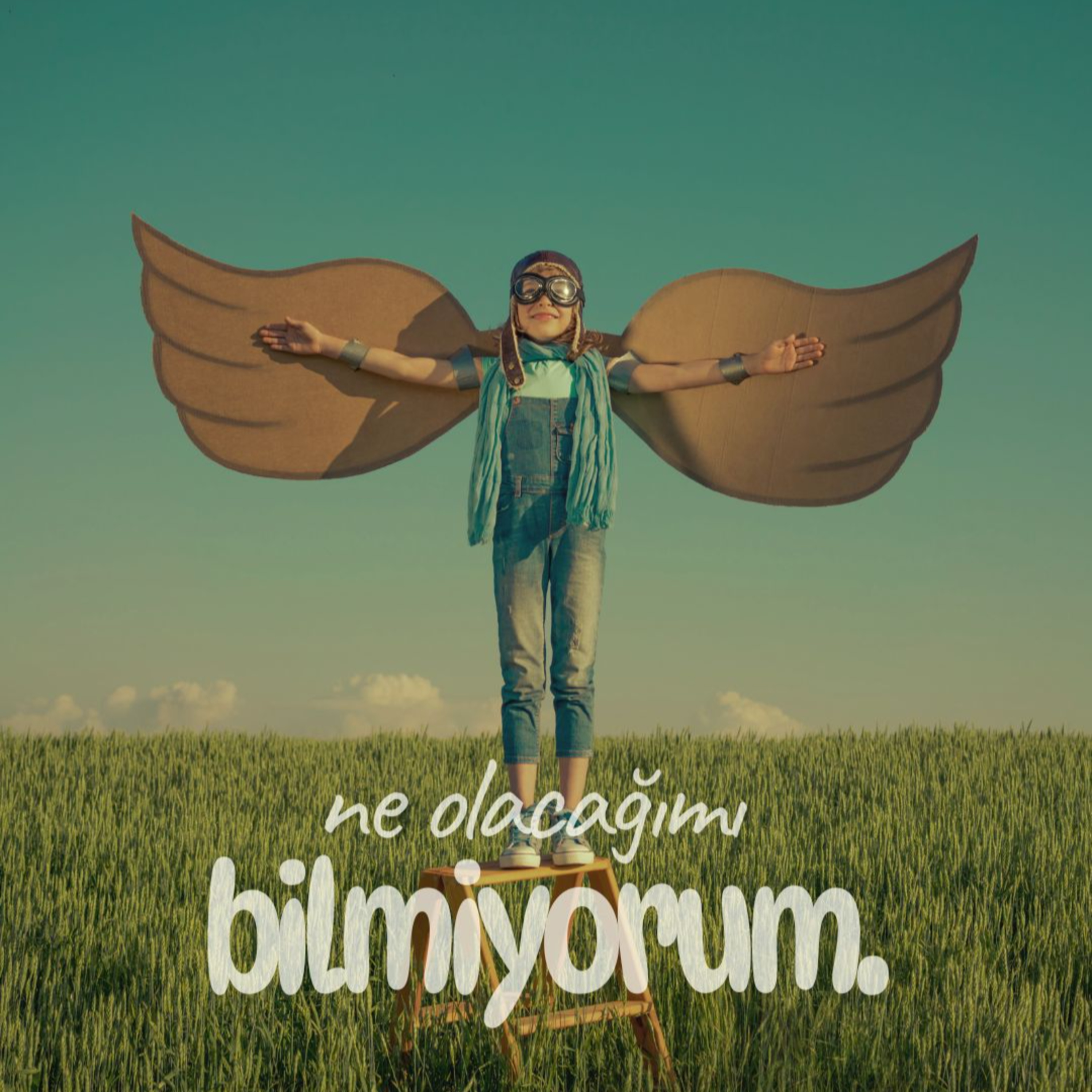 Ne Umdum, Ne Buldum? episode artwork