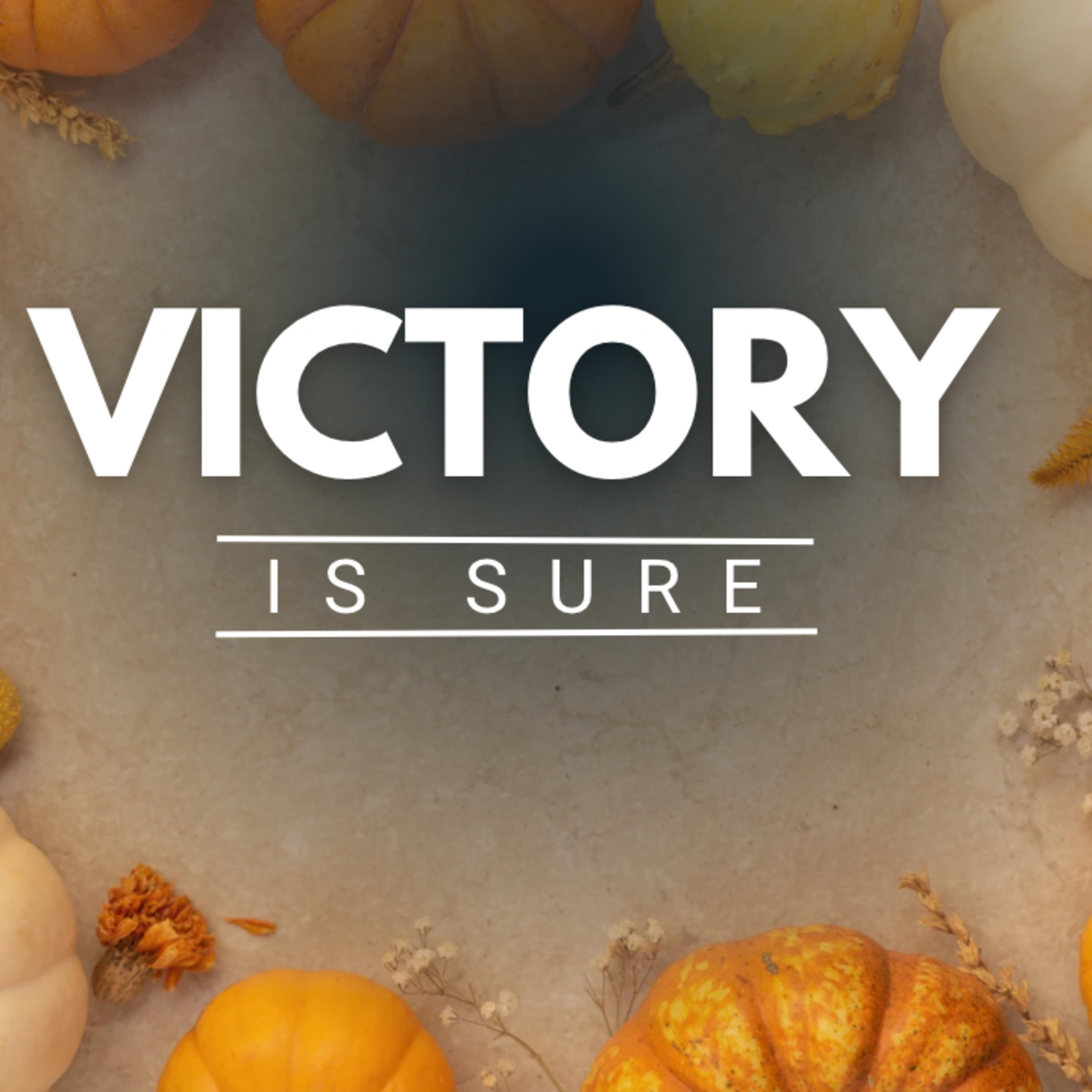 Victory is Sure episode artwork