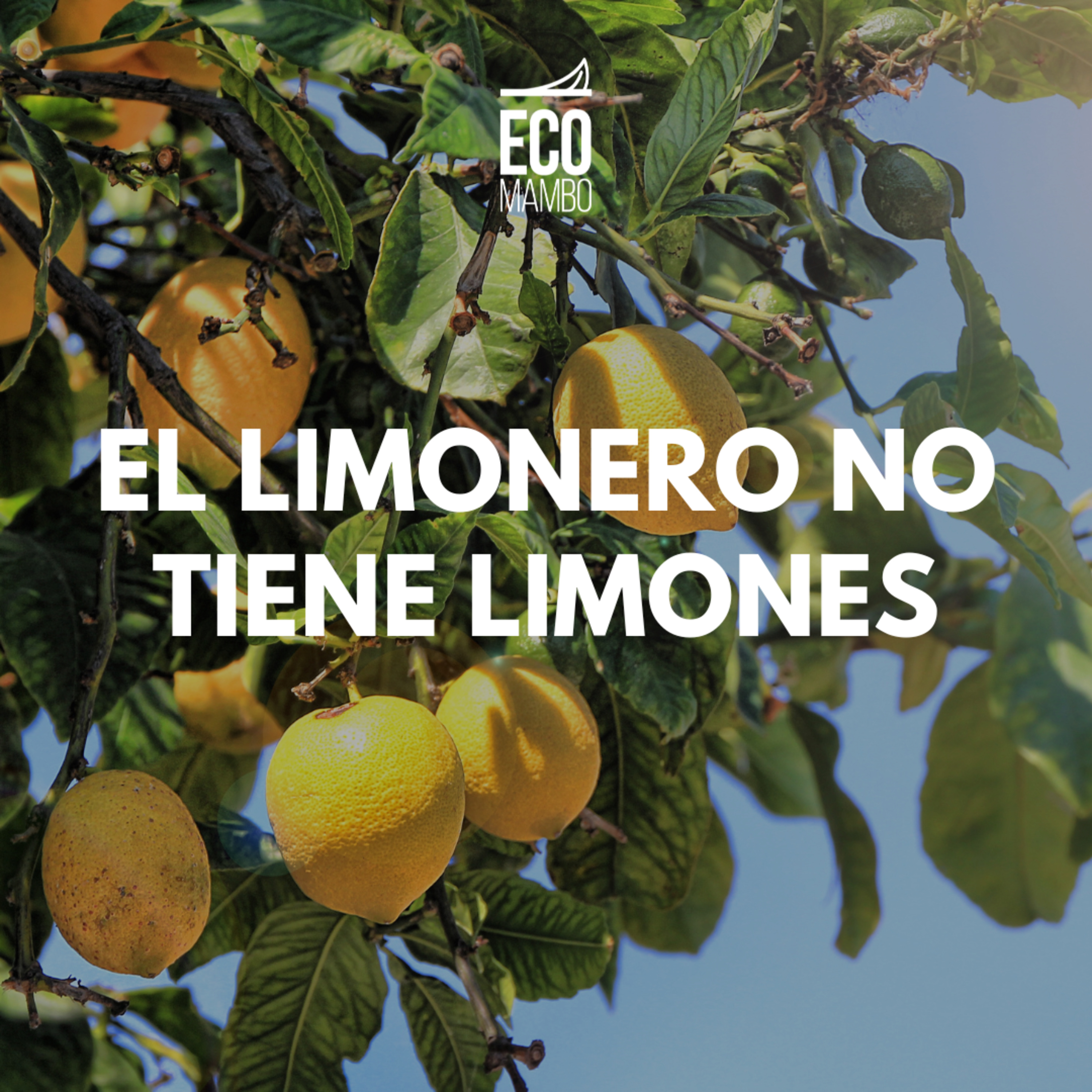 El limonero no tiene limones . episode artwork