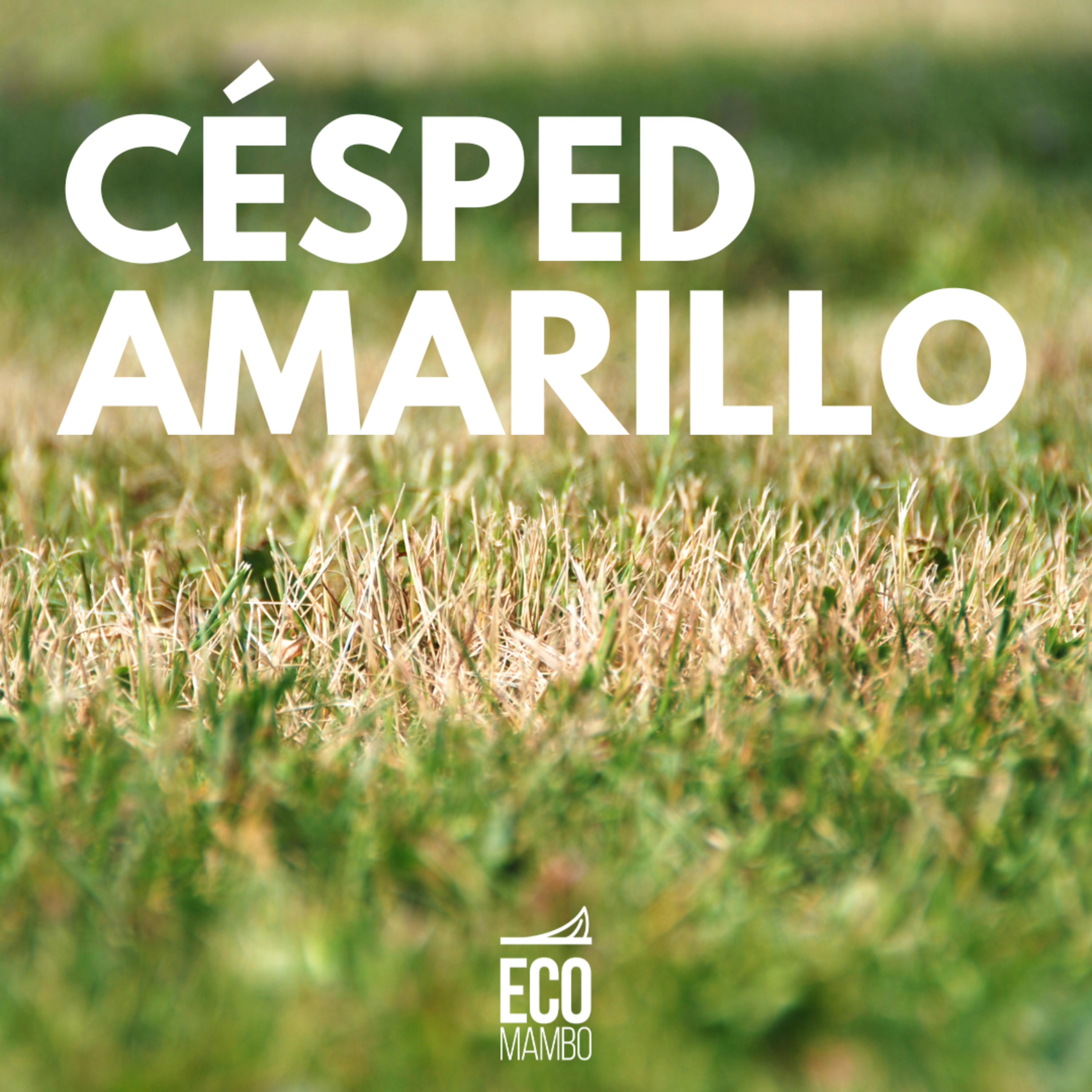 El césped se puso amarillo episode artwork