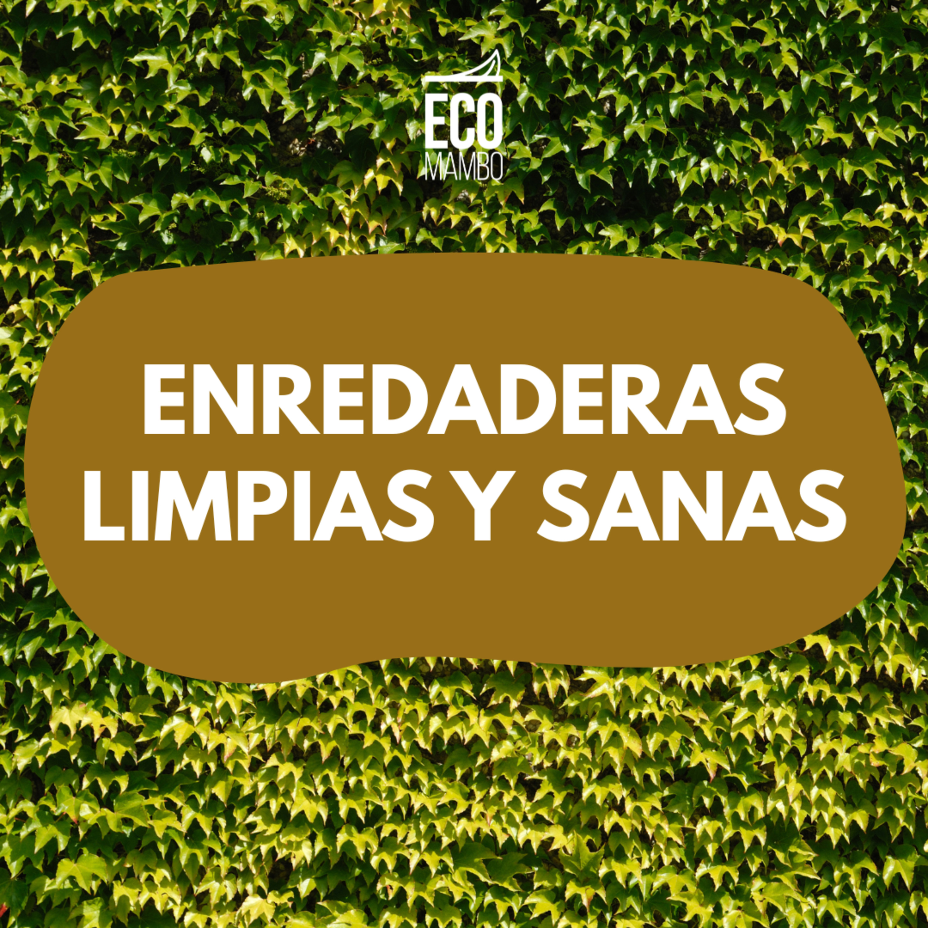 Enredaderas sanas episode artwork