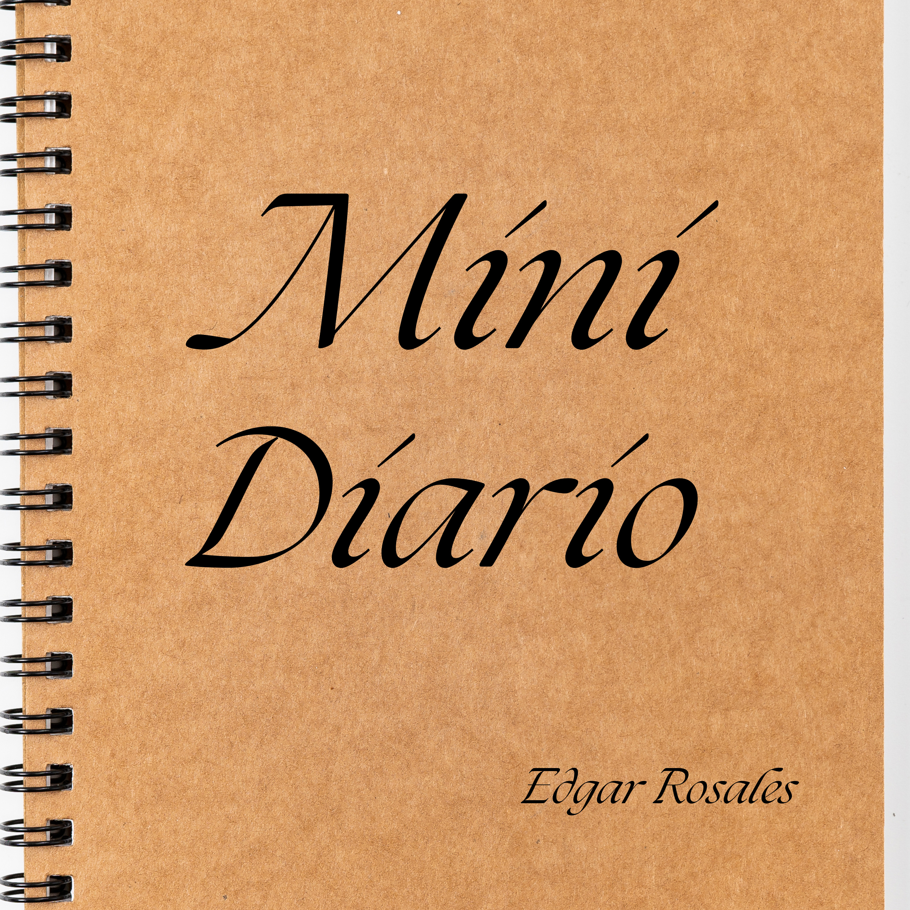 Mini Diario