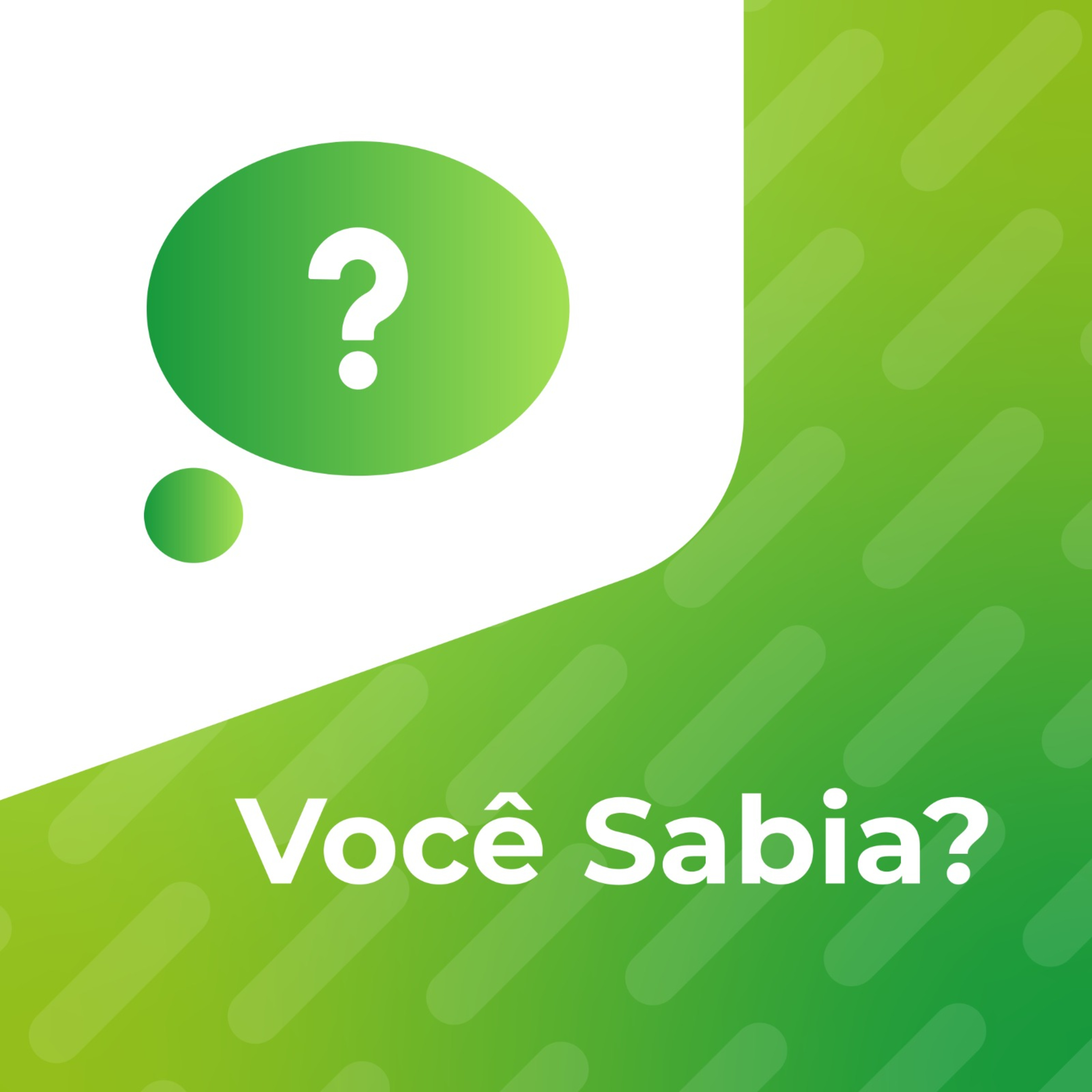 Você Sabia? Zoofilia: o que diz a legislação?