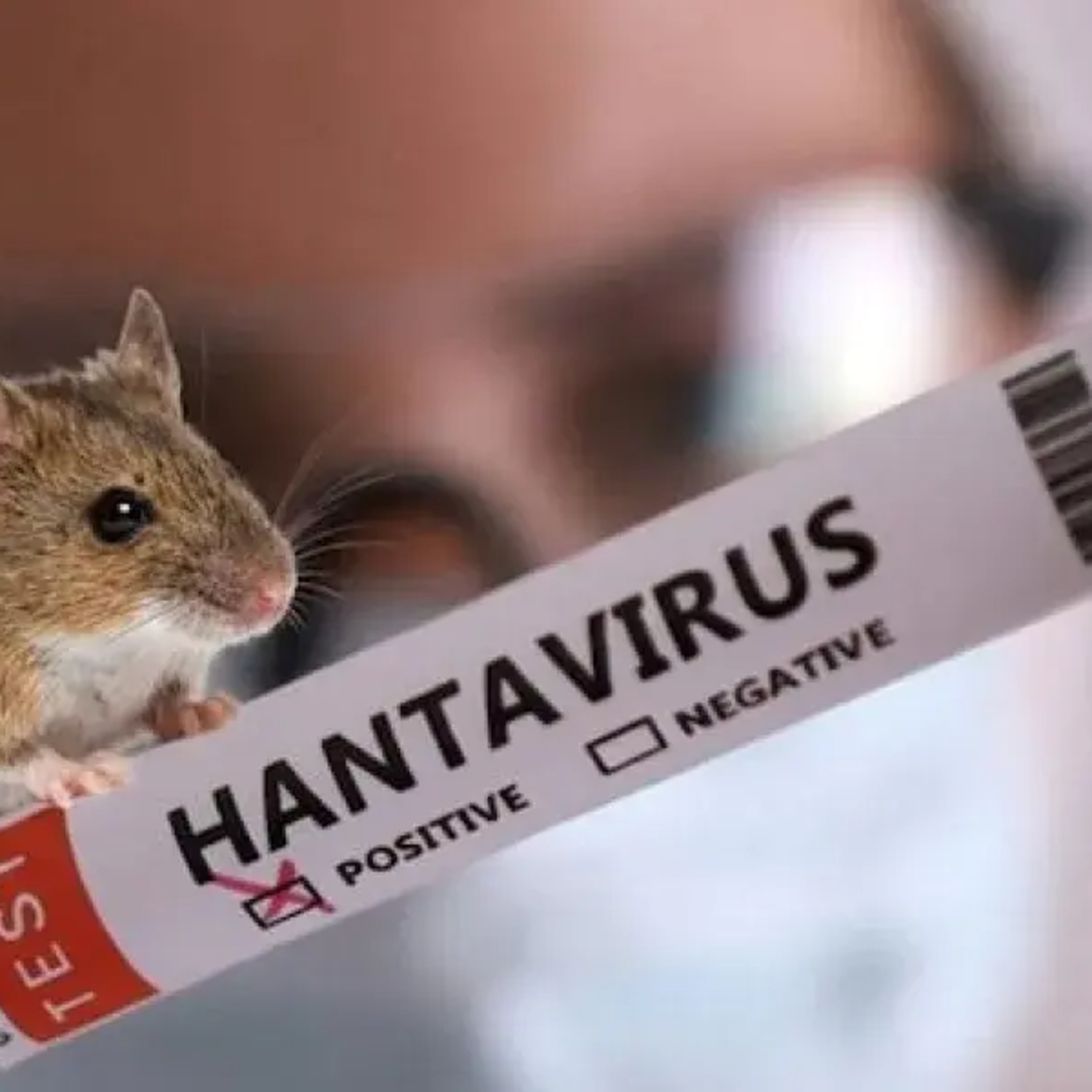 Rats! From Hantavirus to Hondurasgate episode artwork