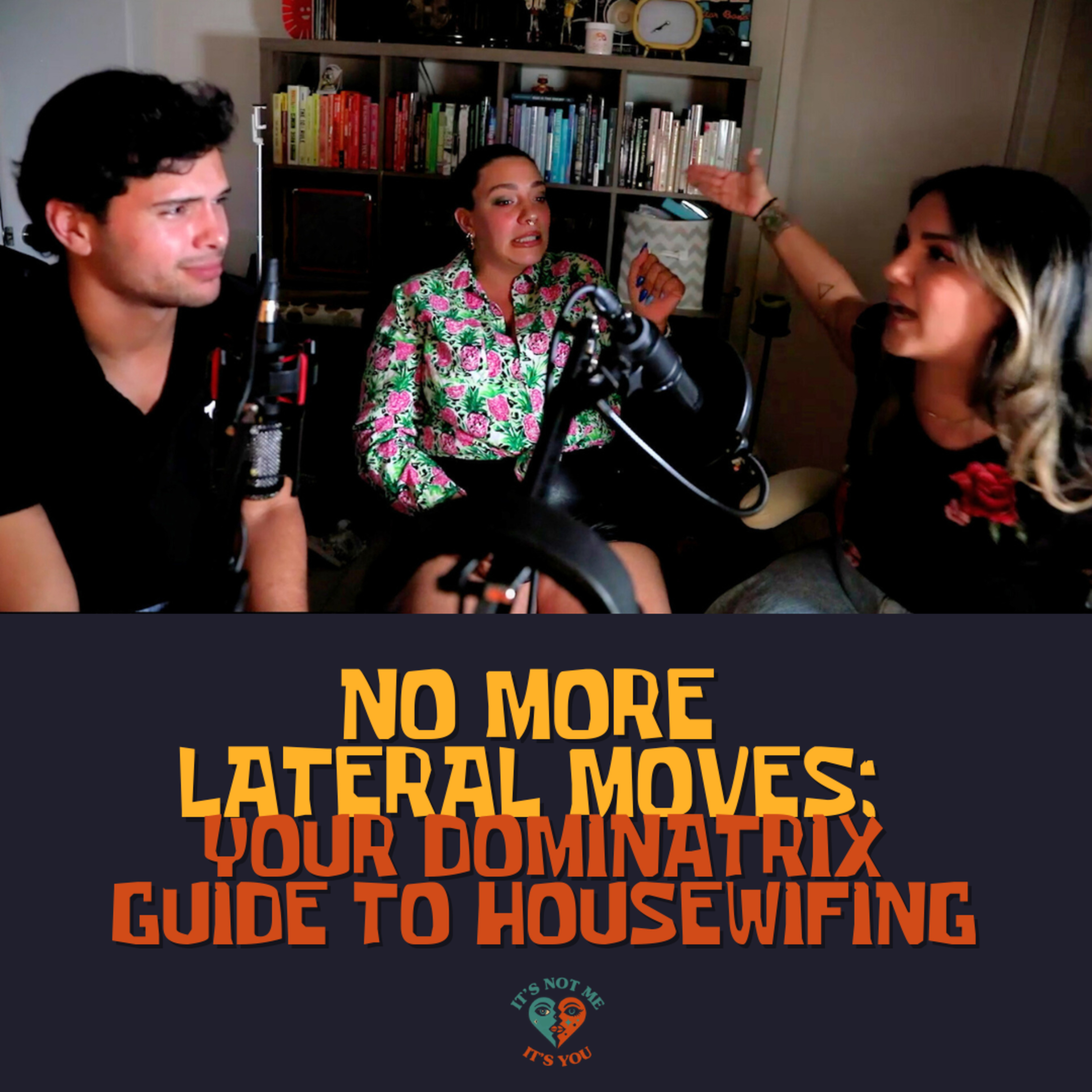 No More Lateral Moves: Your Dominatrix Guide to Housewifing episode artwork