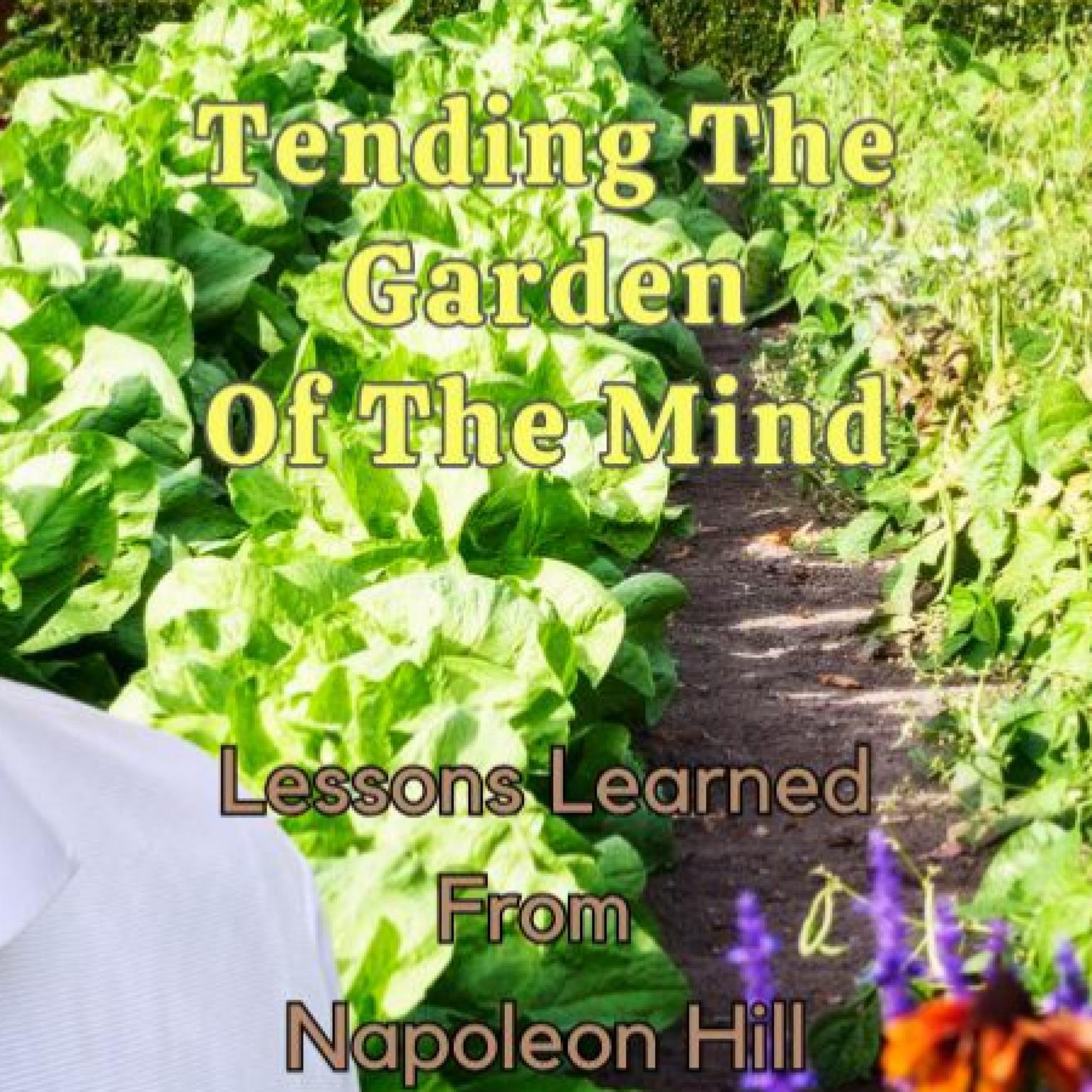 Everyday Stories On Our Homestead