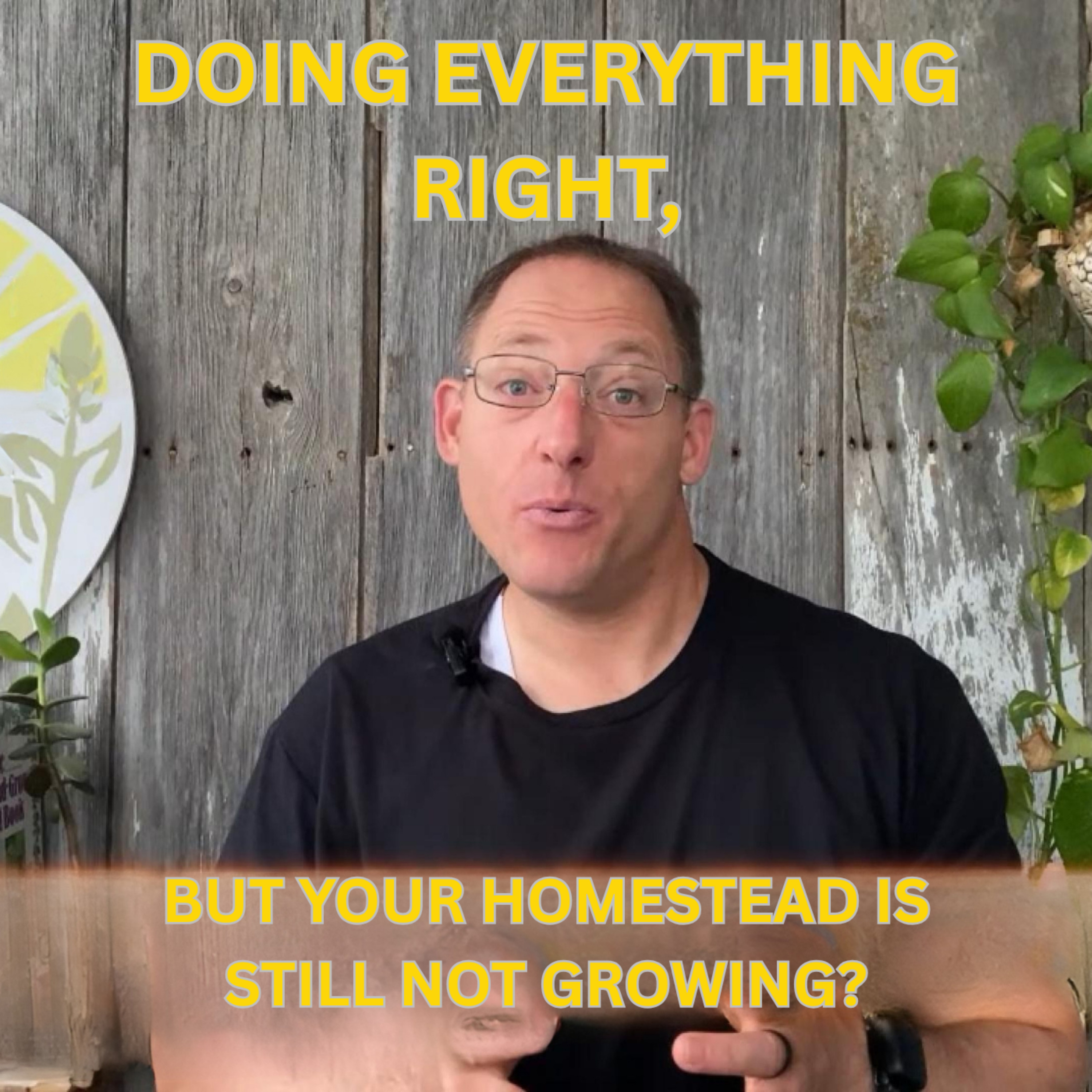 Everyday Stories On Our Homestead