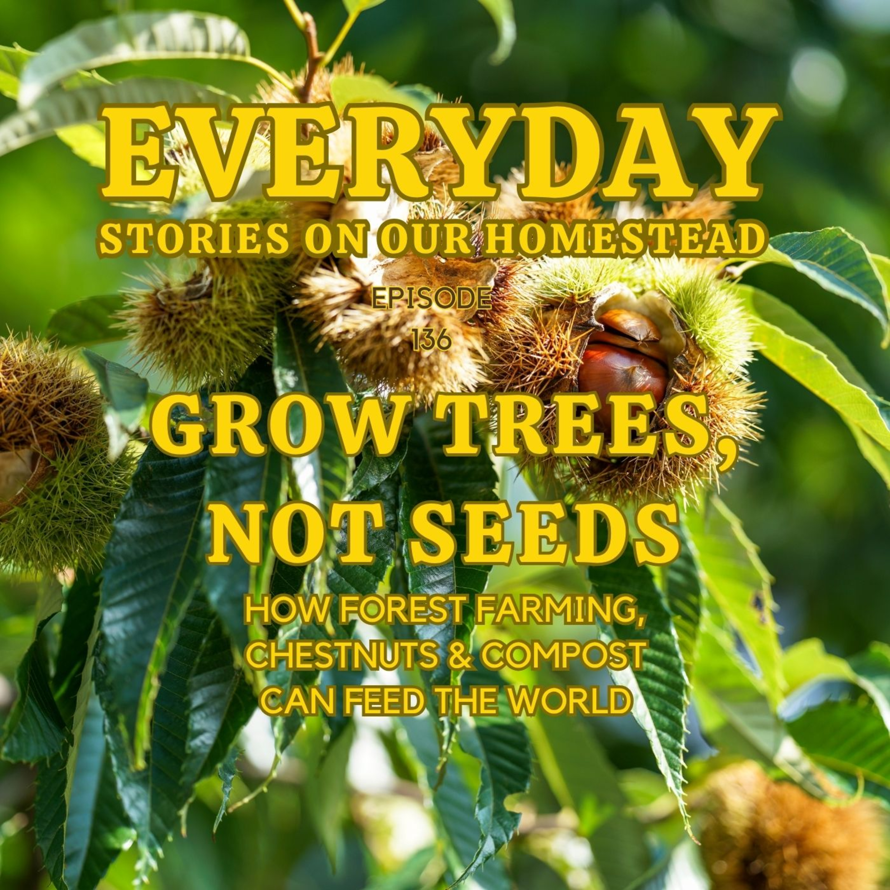 Everyday Stories On Our Homestead