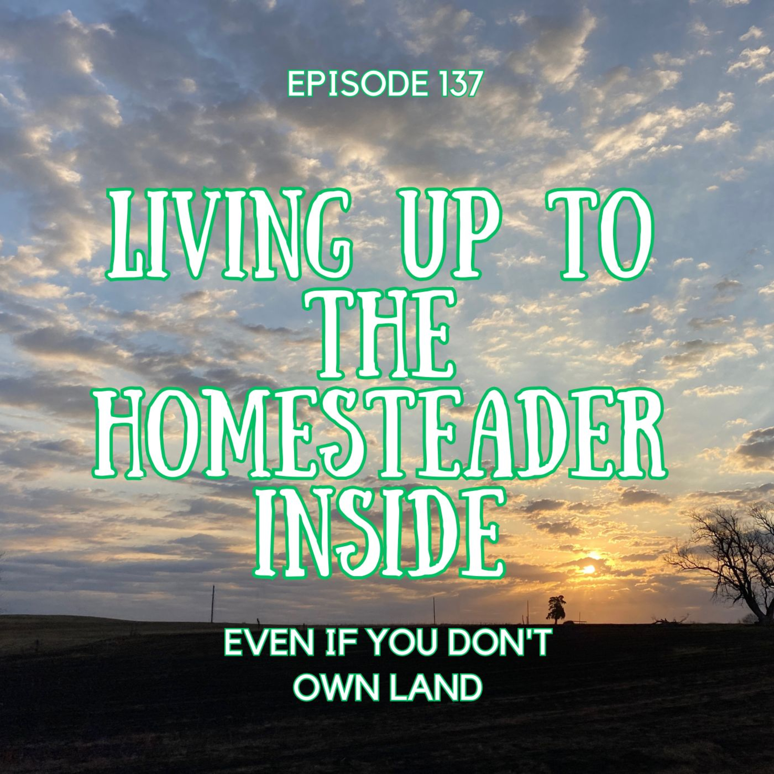 Everyday Stories On Our Homestead