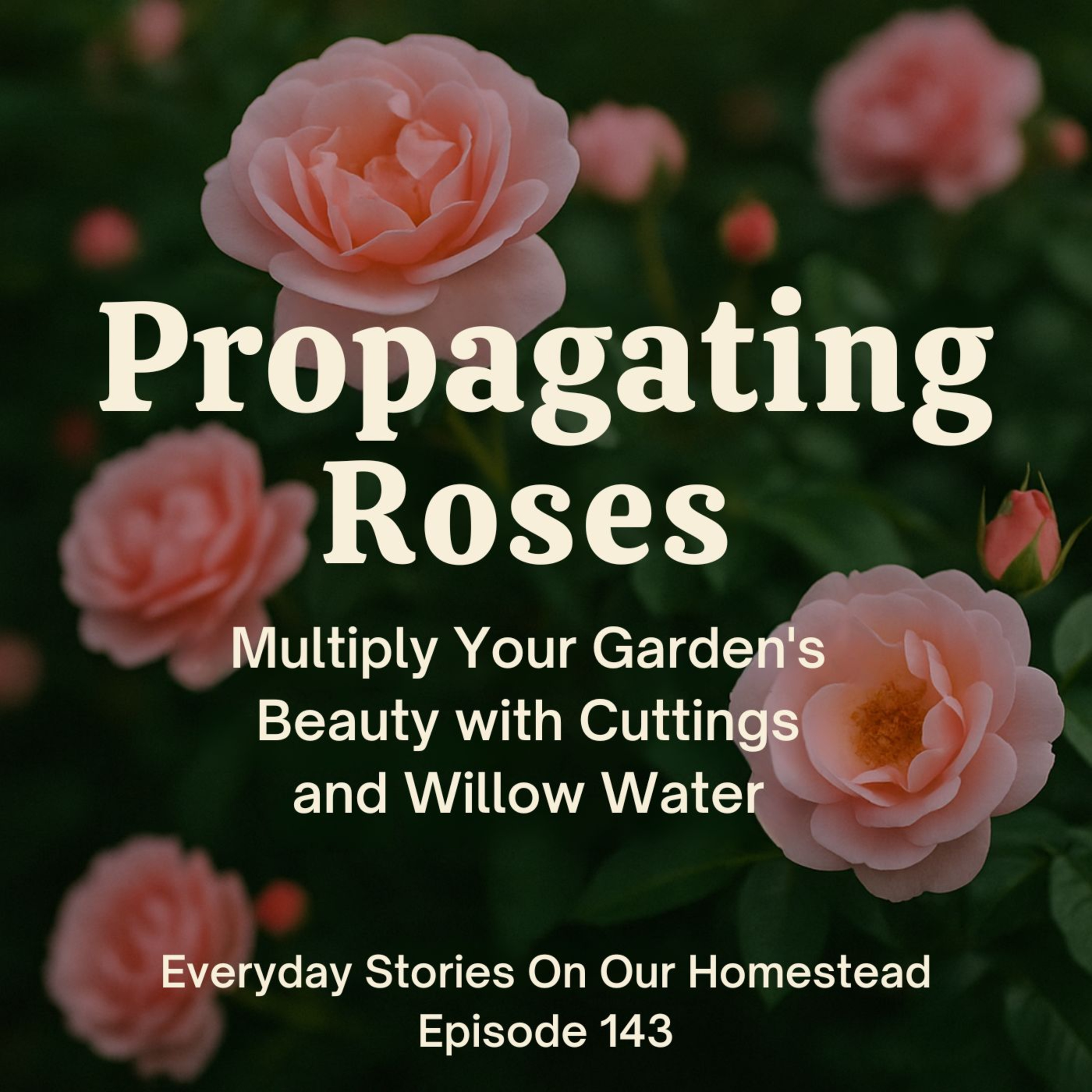 Everyday Stories On Our Homestead