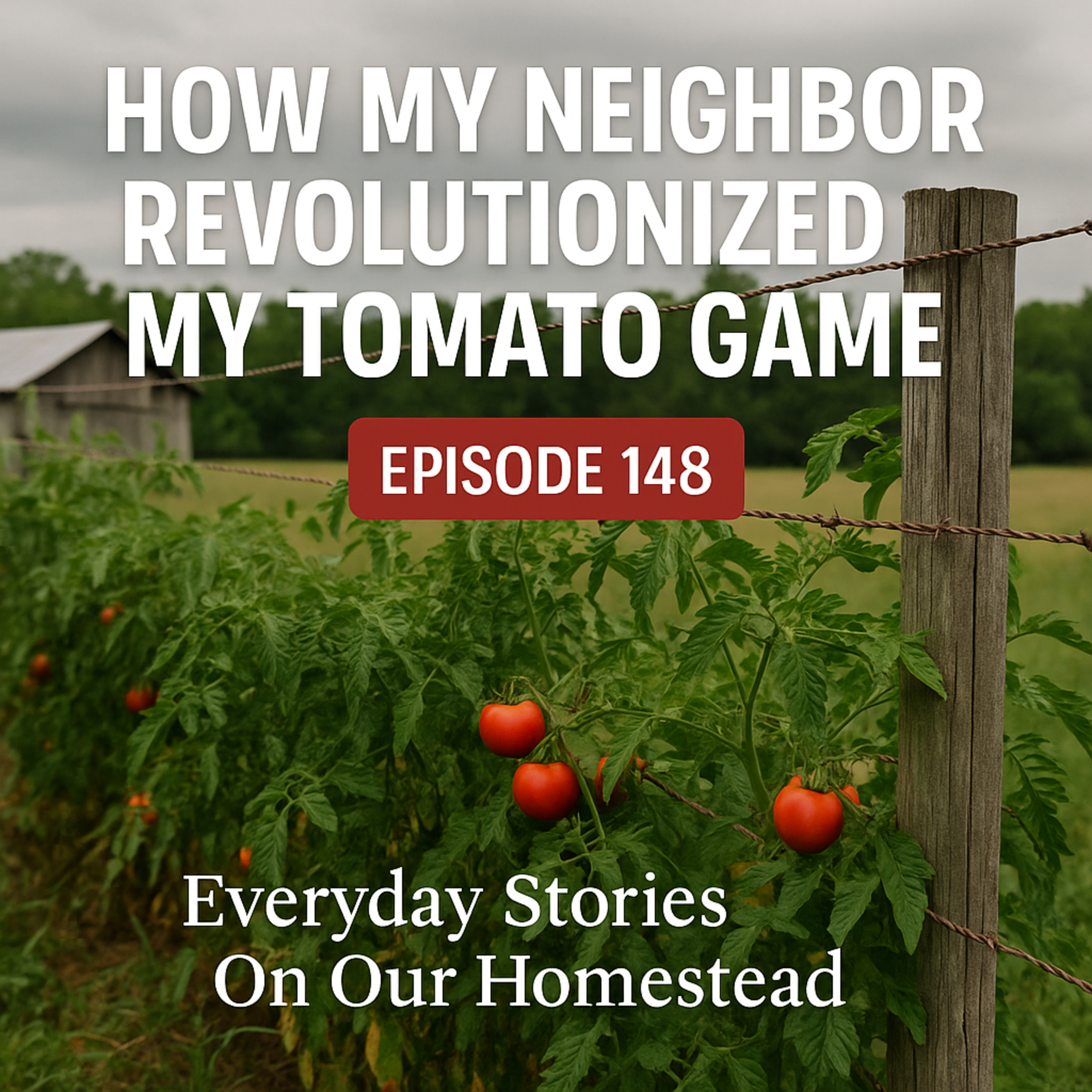 Everyday Stories On Our Homestead