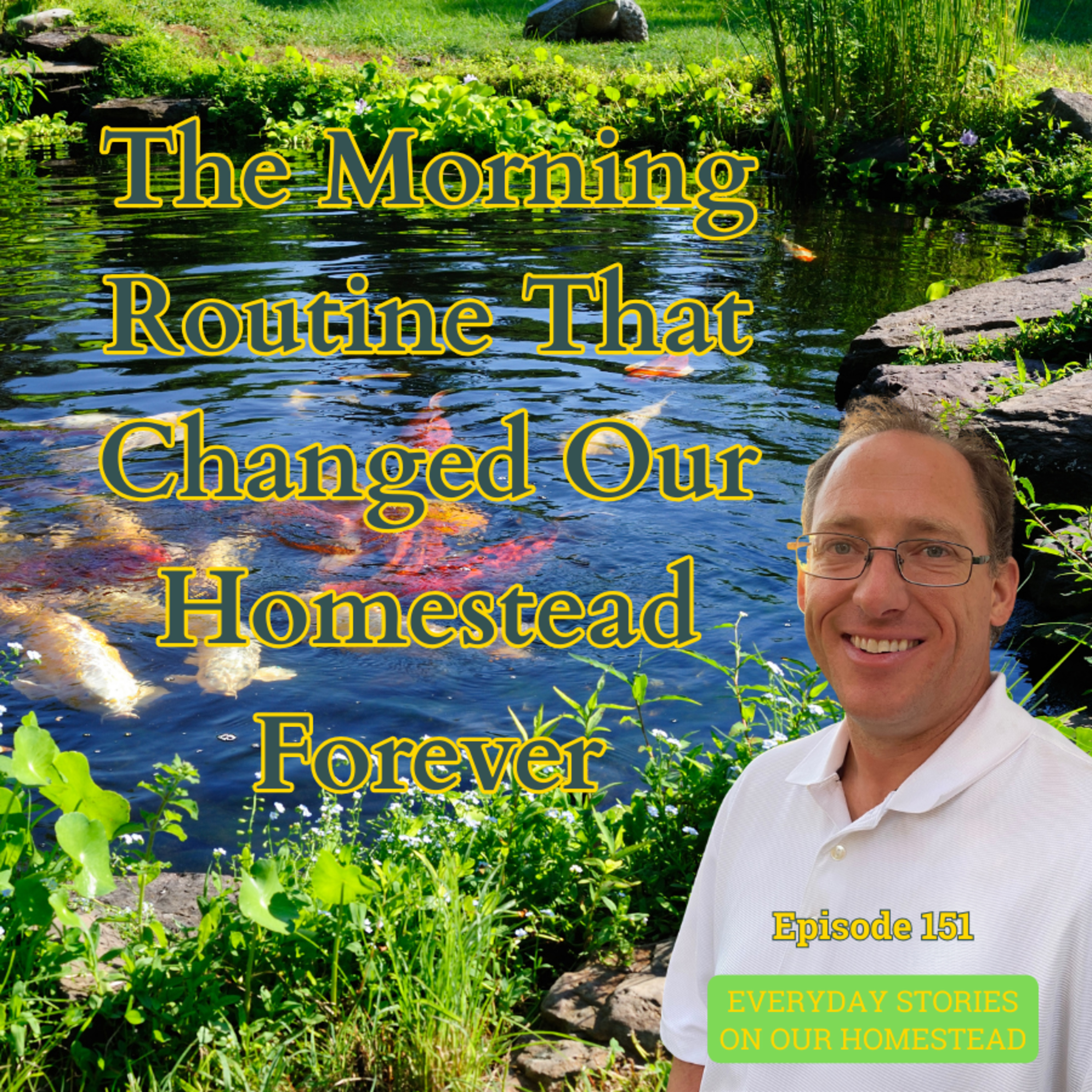 Everyday Stories On Our Homestead