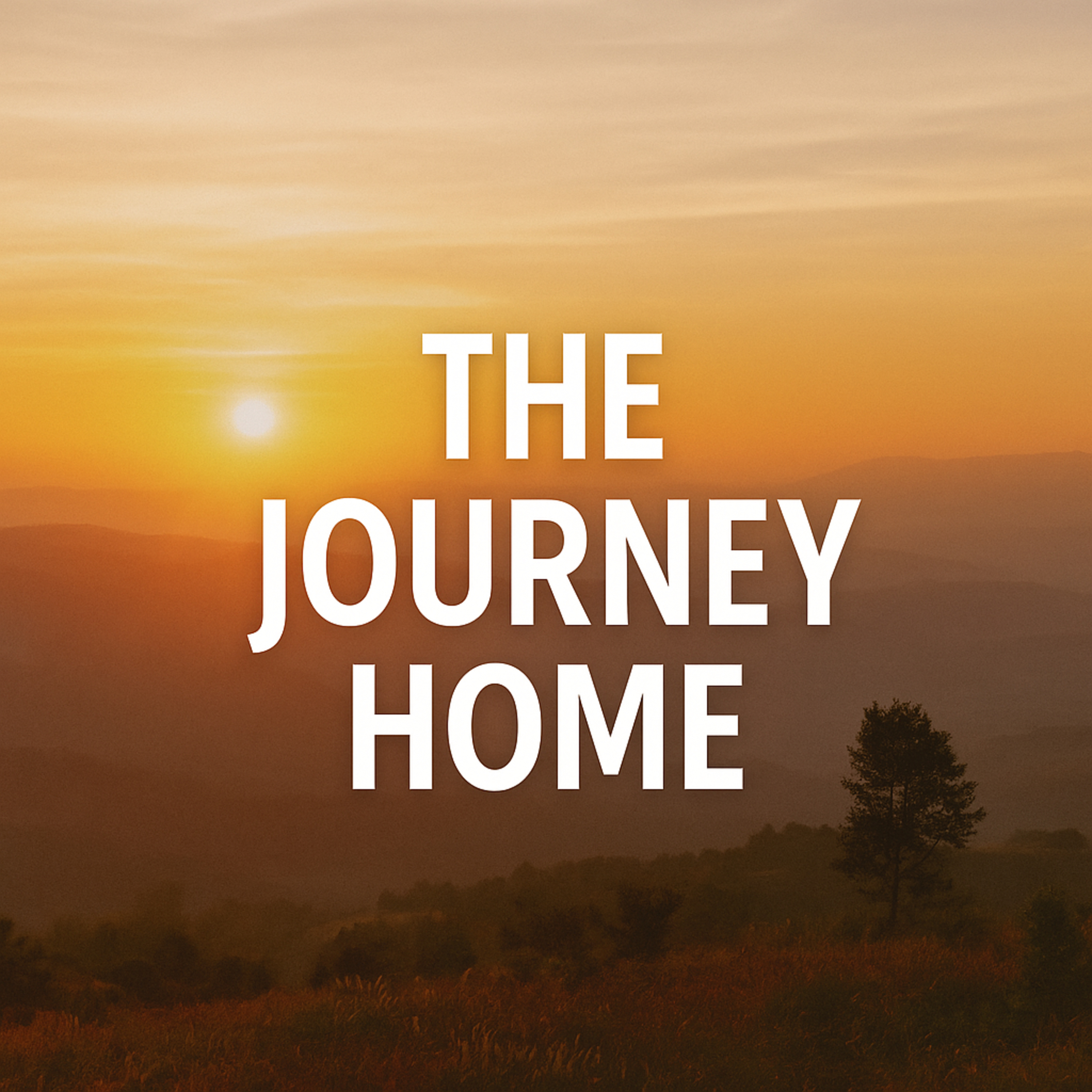 Everyday Stories On Our Homestead