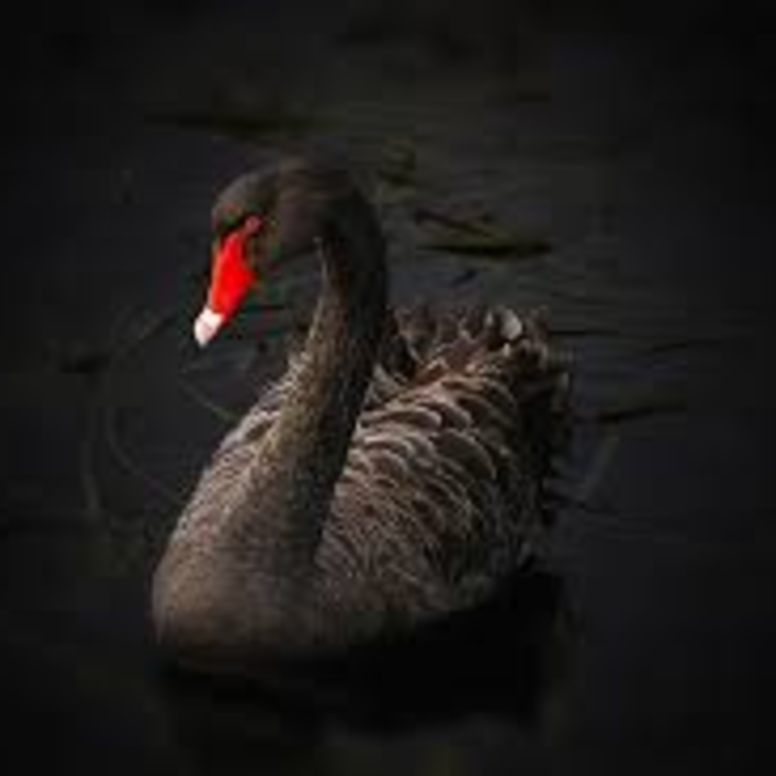 Bible Study with Derrick