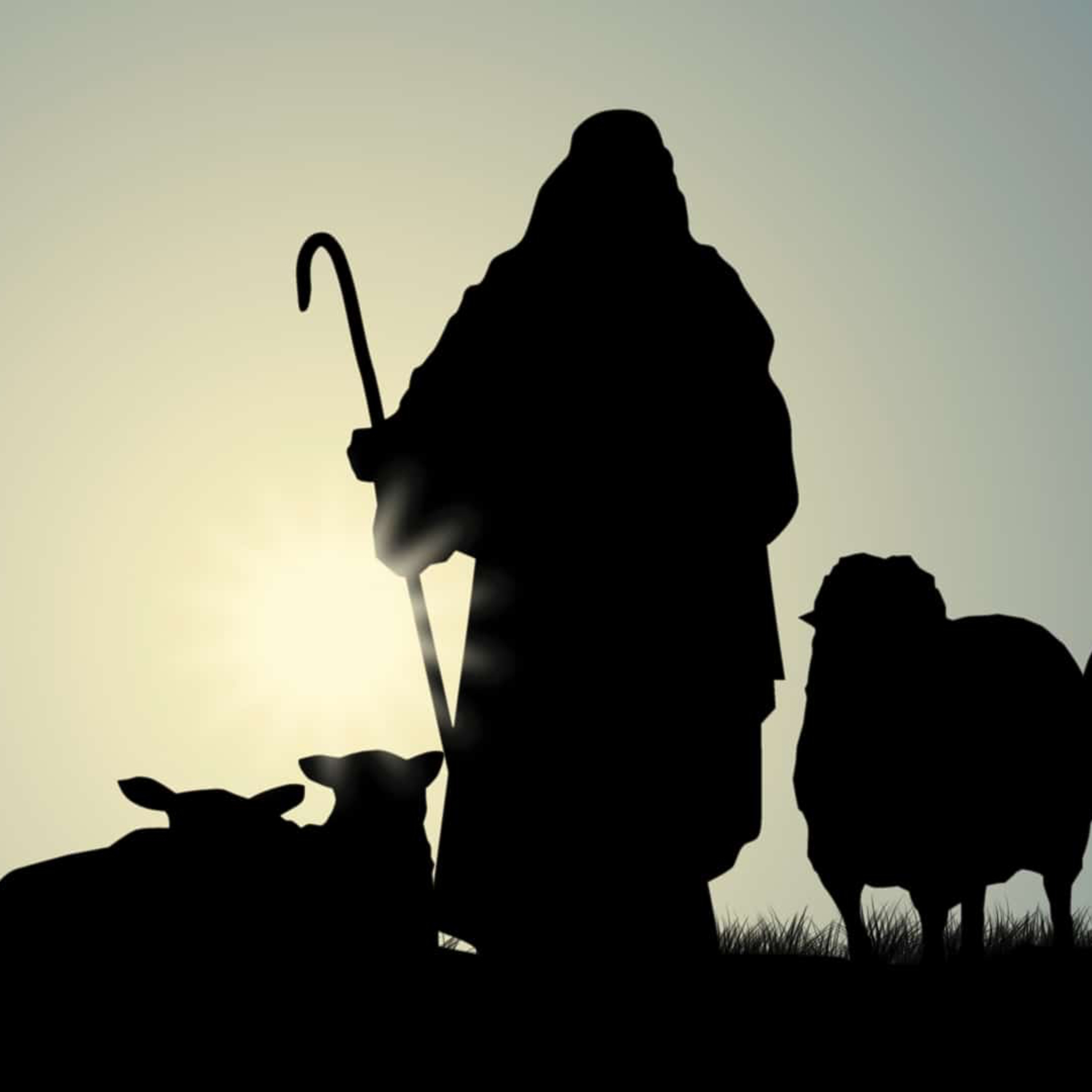 Leading the Flock episode artwork