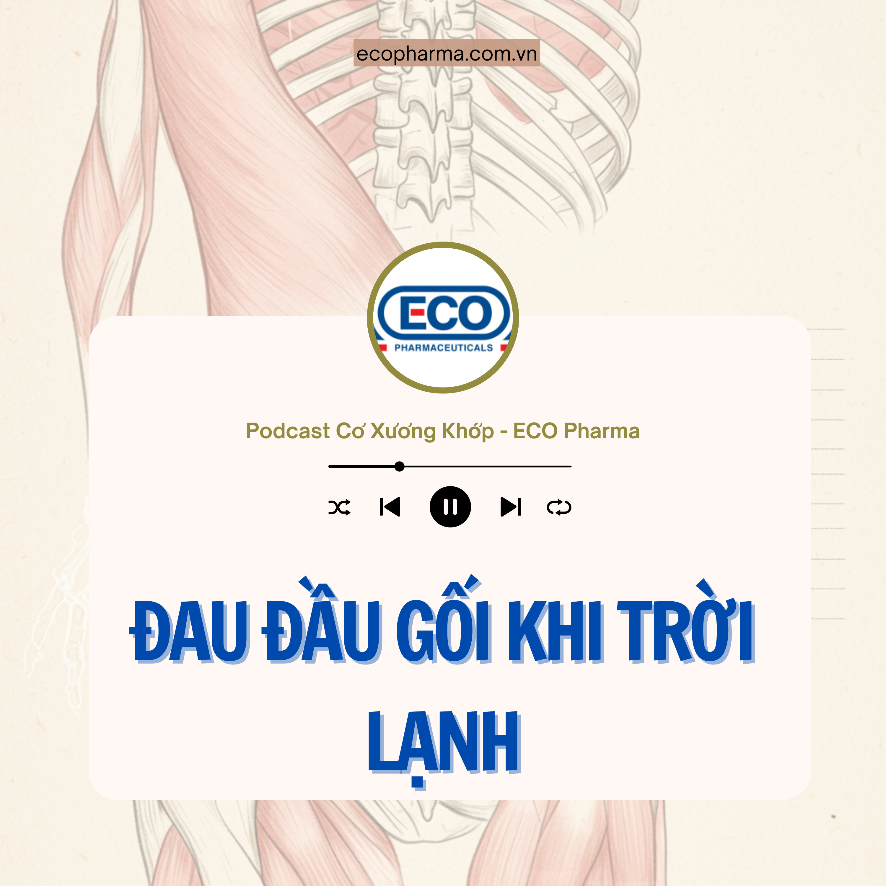 Đau đầu gối khi trời lạnh là gì? | ECO Pharma episode artwork