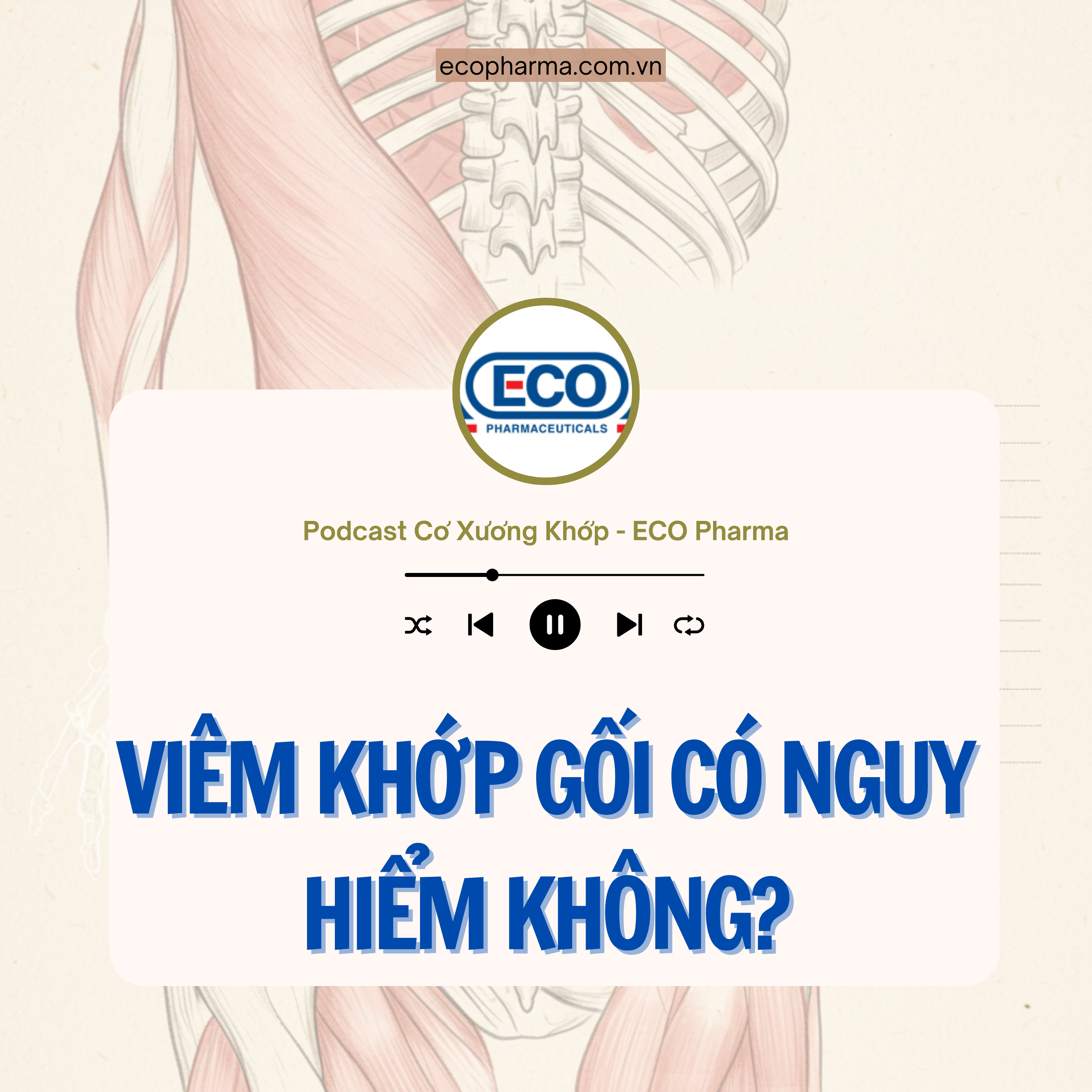Bệnh viêm khớp gối có nguy hiểm không? | ECO Pharma episode artwork