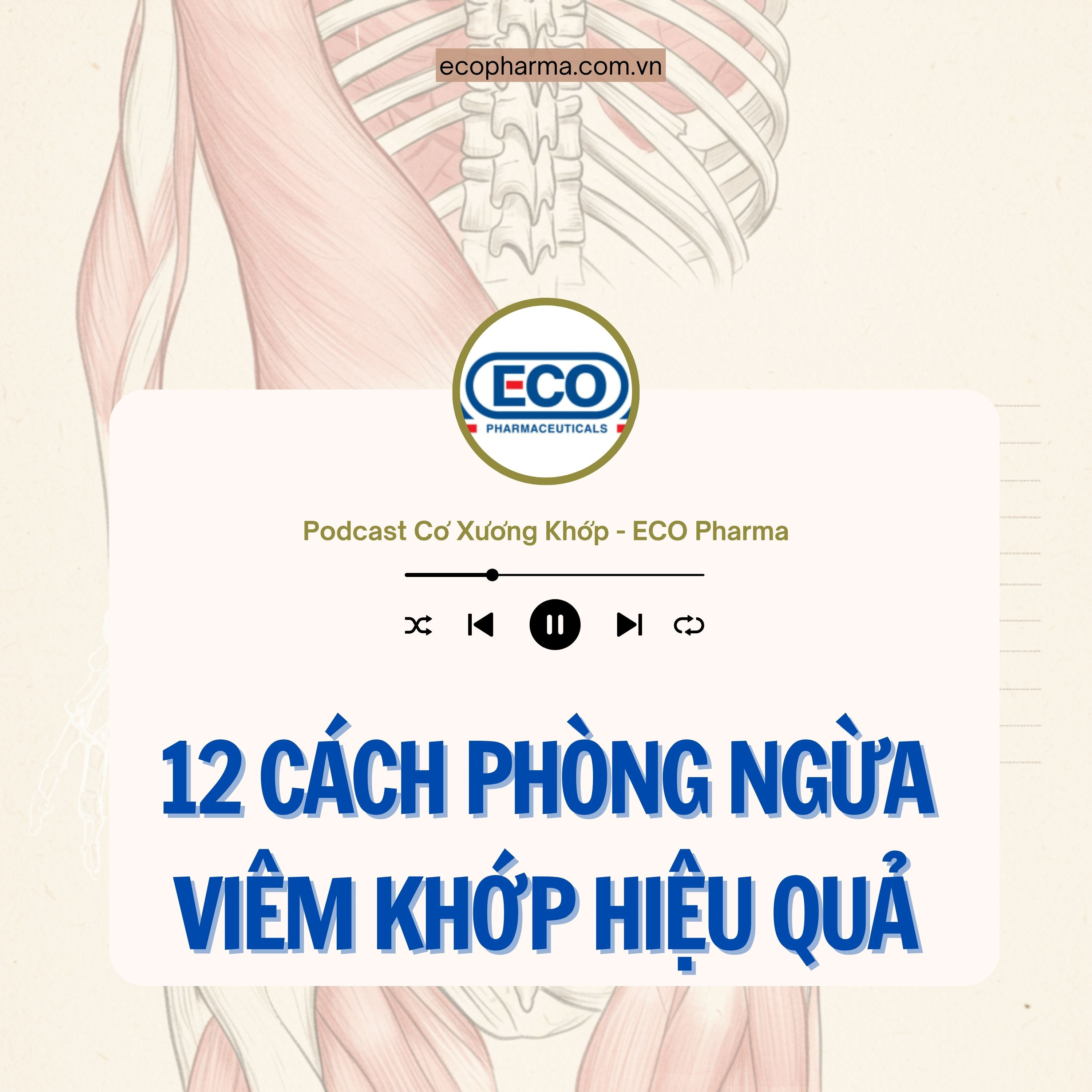 12 cách phòng ngừa viêm khớp hiệu quả | ECO Pharma episode artwork