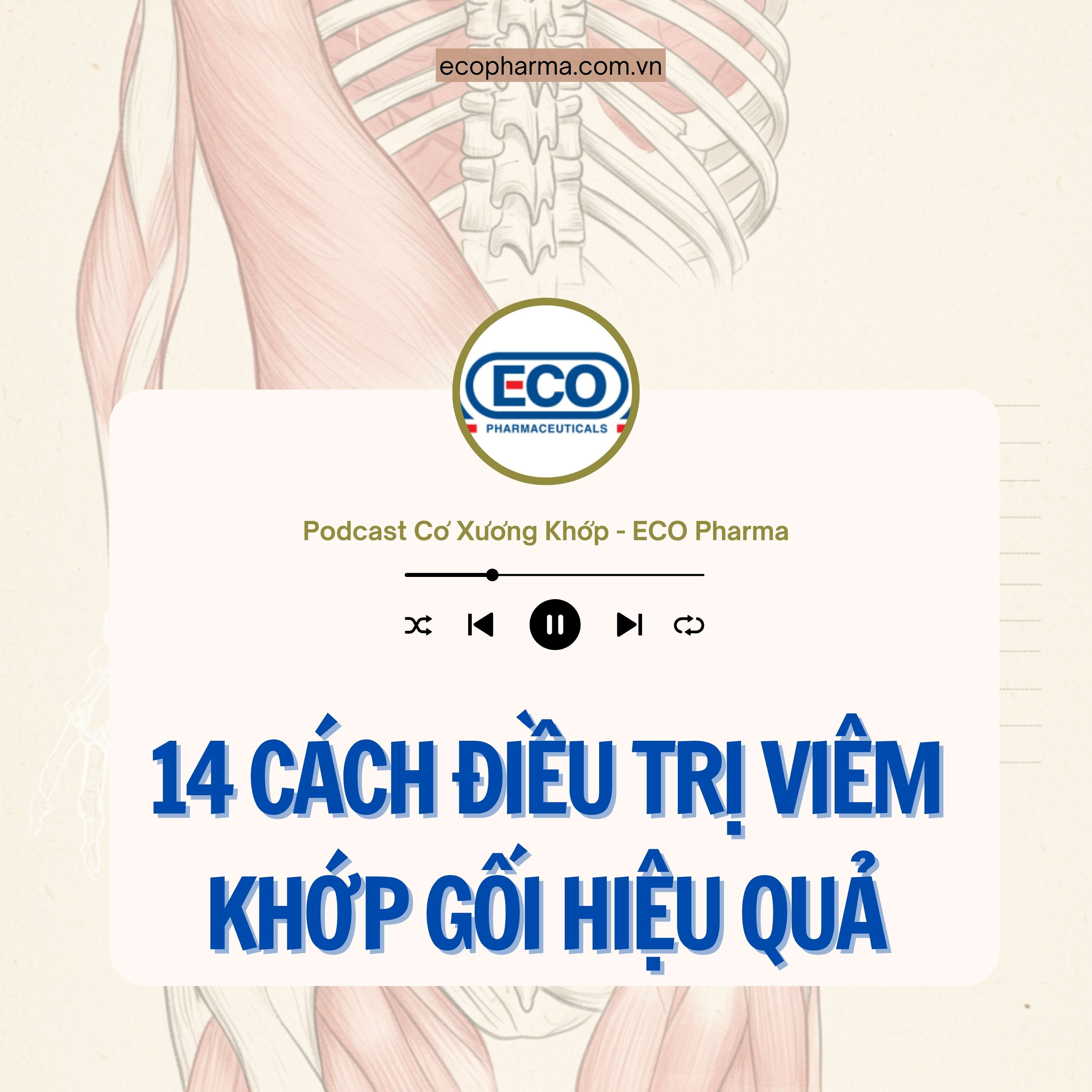 14 cách điều trị viêm khớp gối hiệu quả | ECO Pharma episode artwork