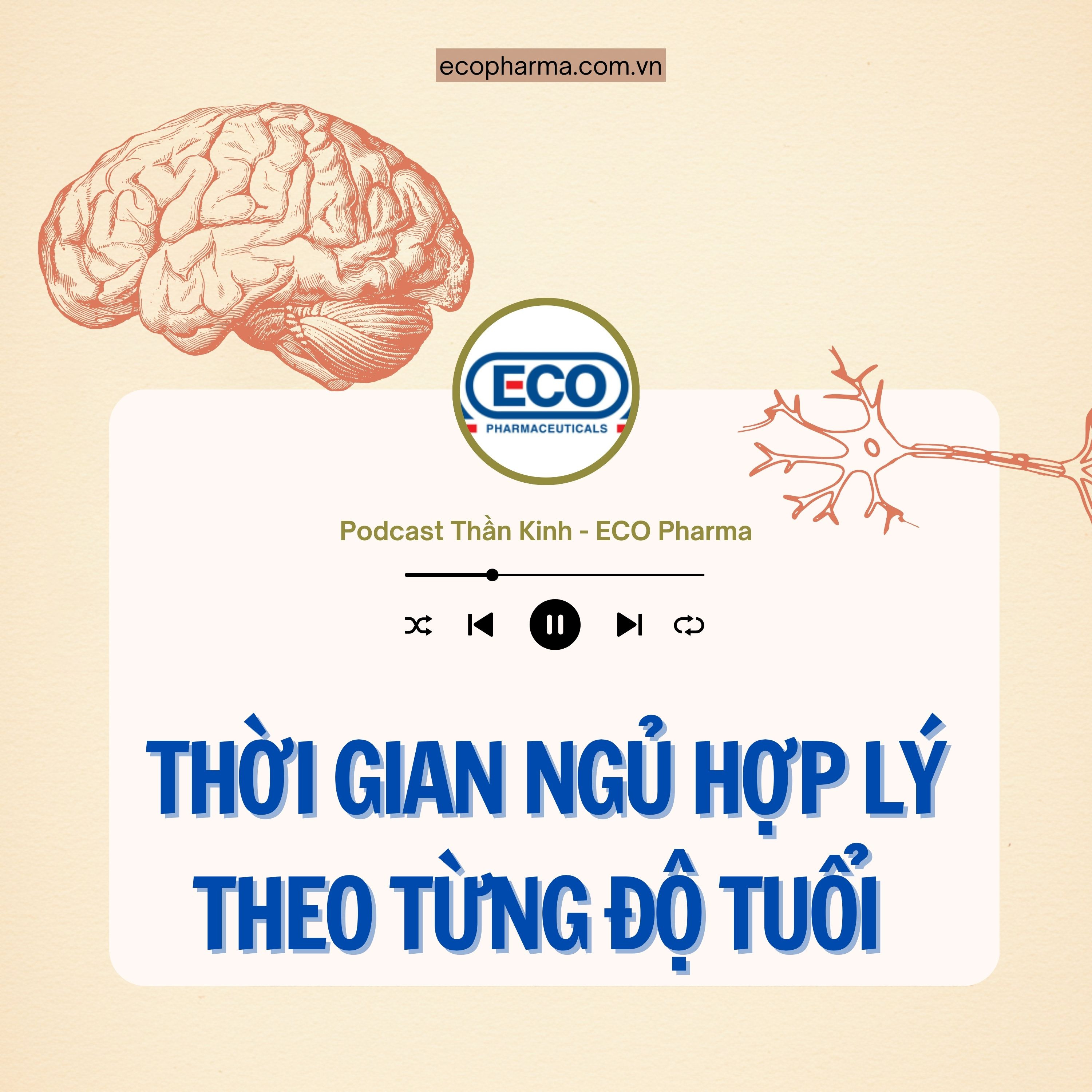 Thời gian ngủ hợp lý theo từng độ tuổi episode artwork
