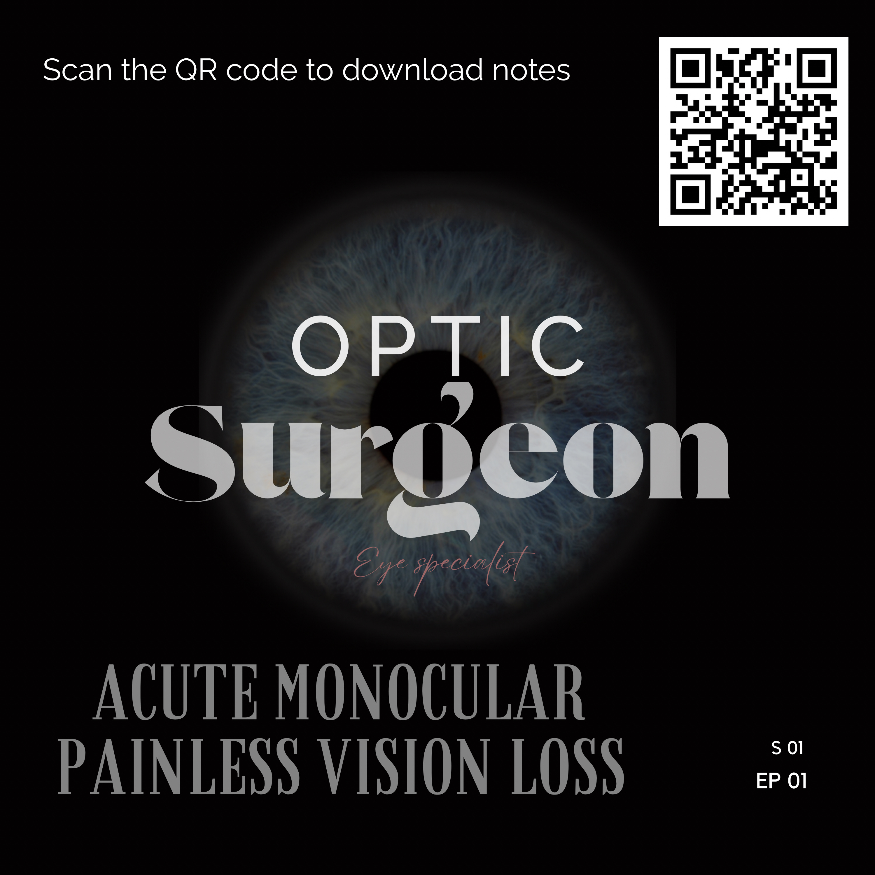 S. 01 Ep. 01 Acute Monocular Sudden Painless Vision loss
