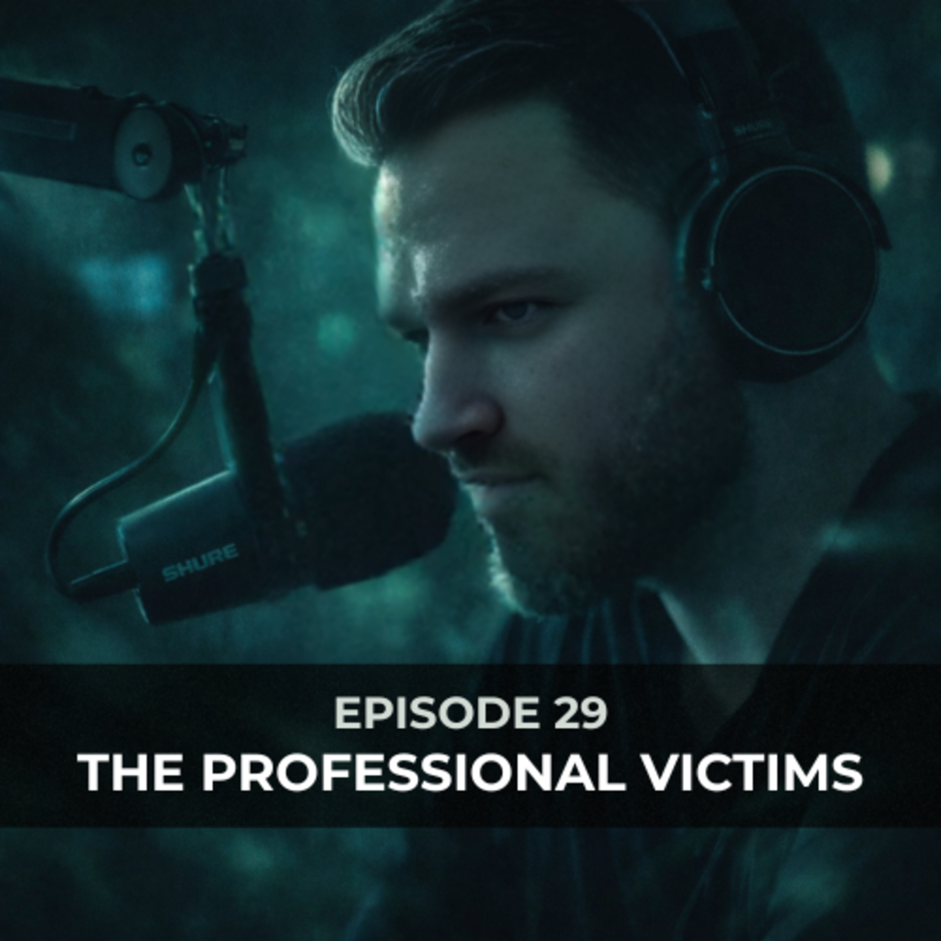 Episode 29 - The Professional Victims episode artwork