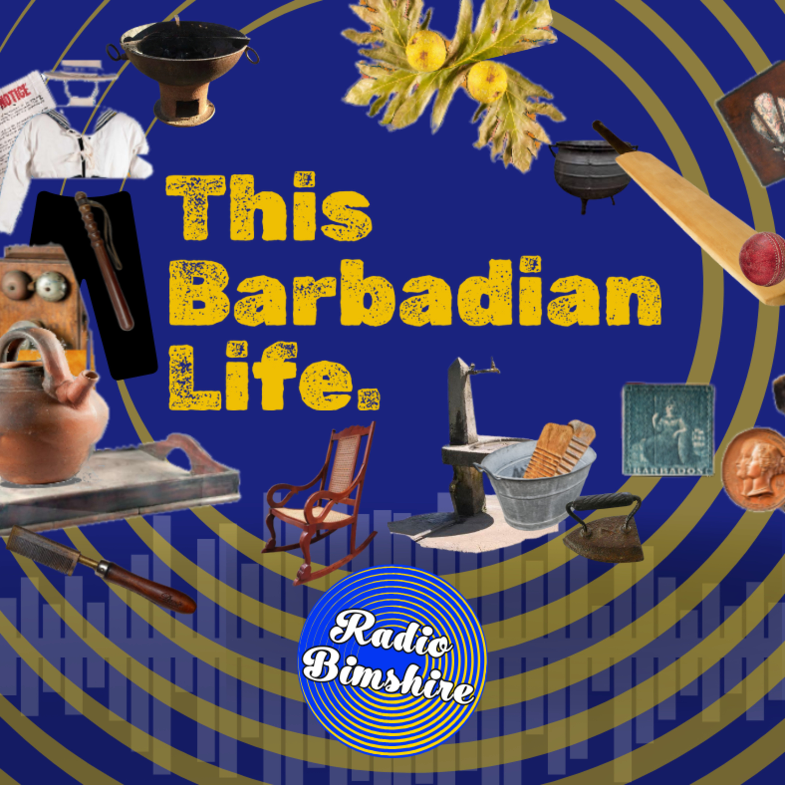 This Barbadian Life - 09 - "The Birth Women" episode artwork