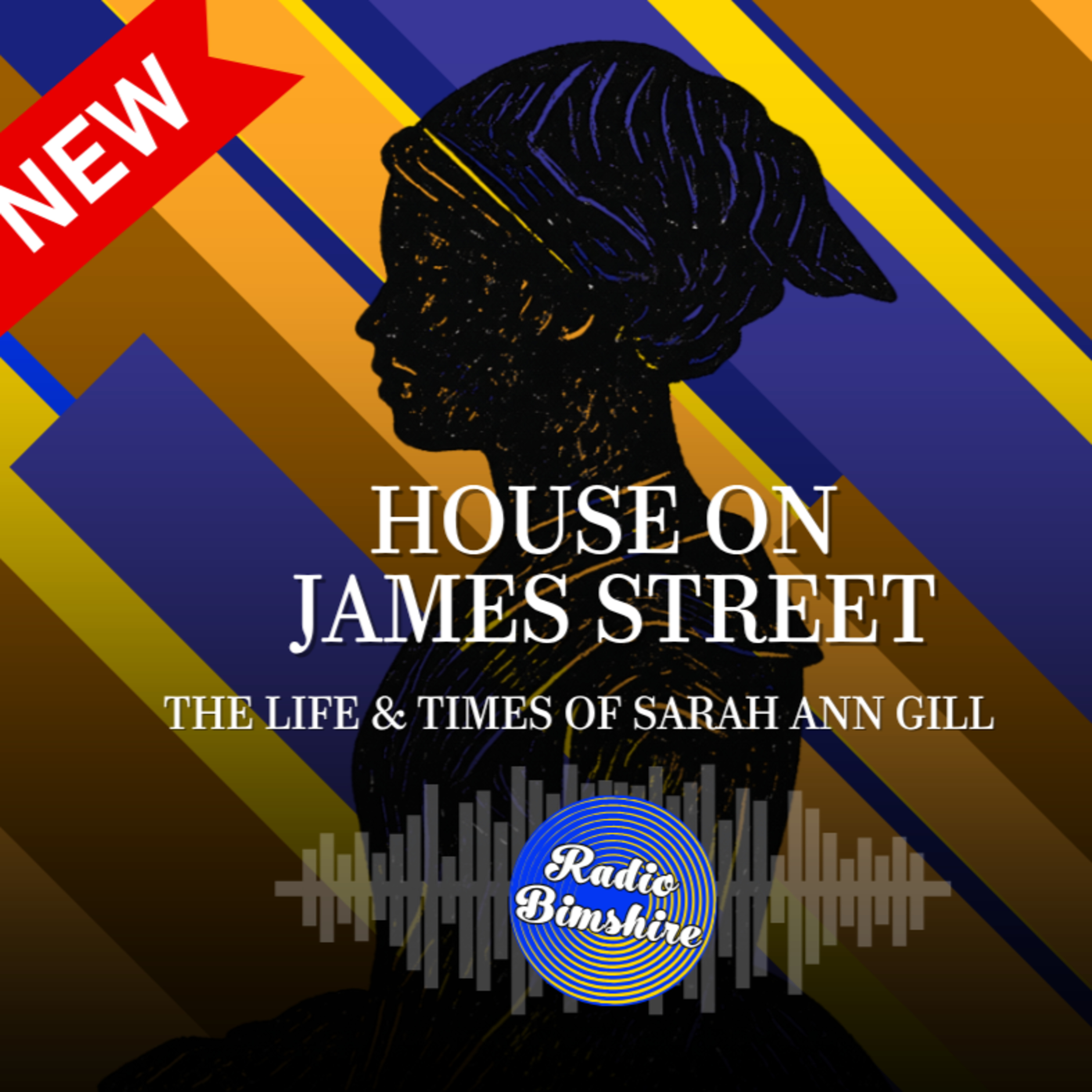 New episodes: House on James Street episode artwork