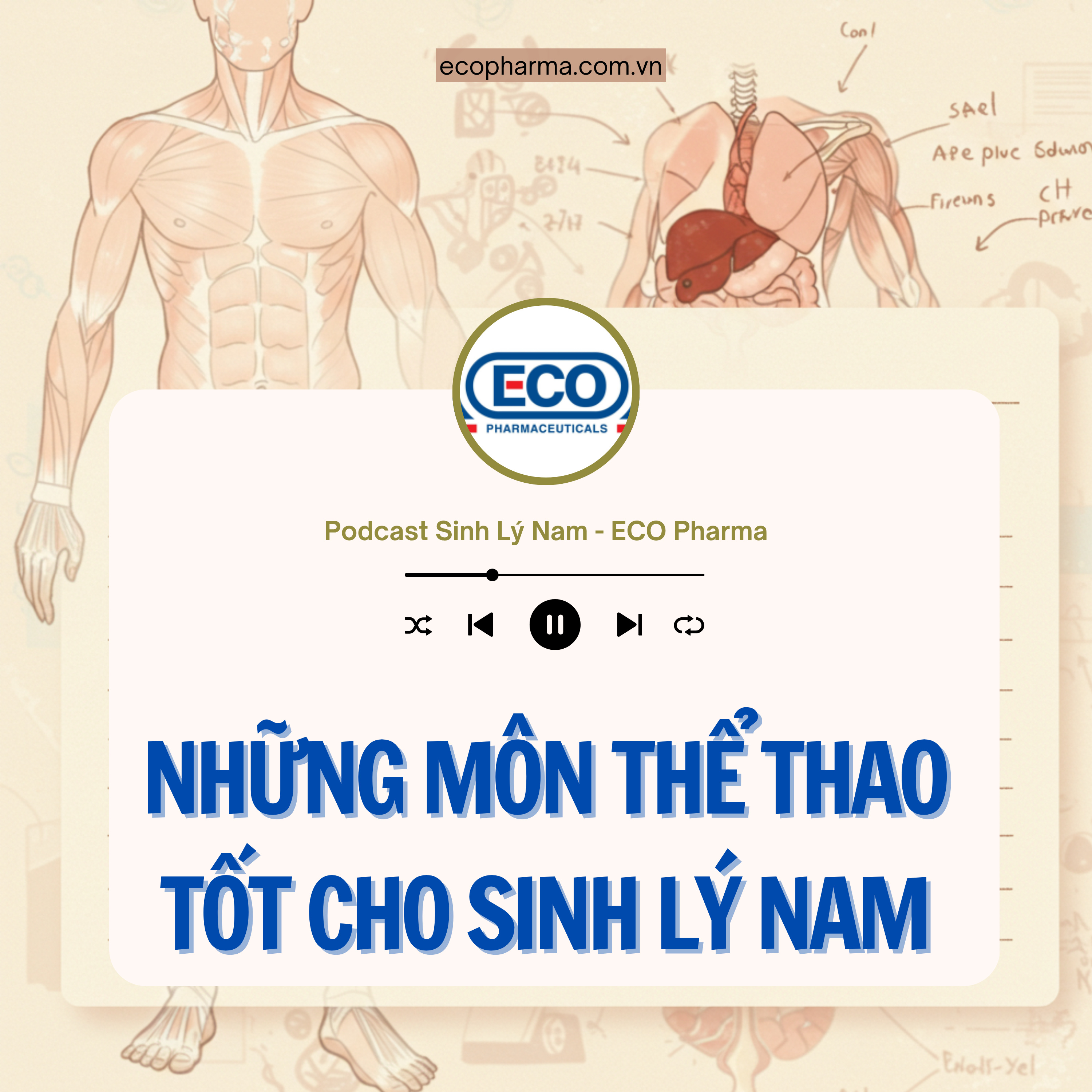 Những môn thể thao tốt cho sinh lý nam giới episode artwork