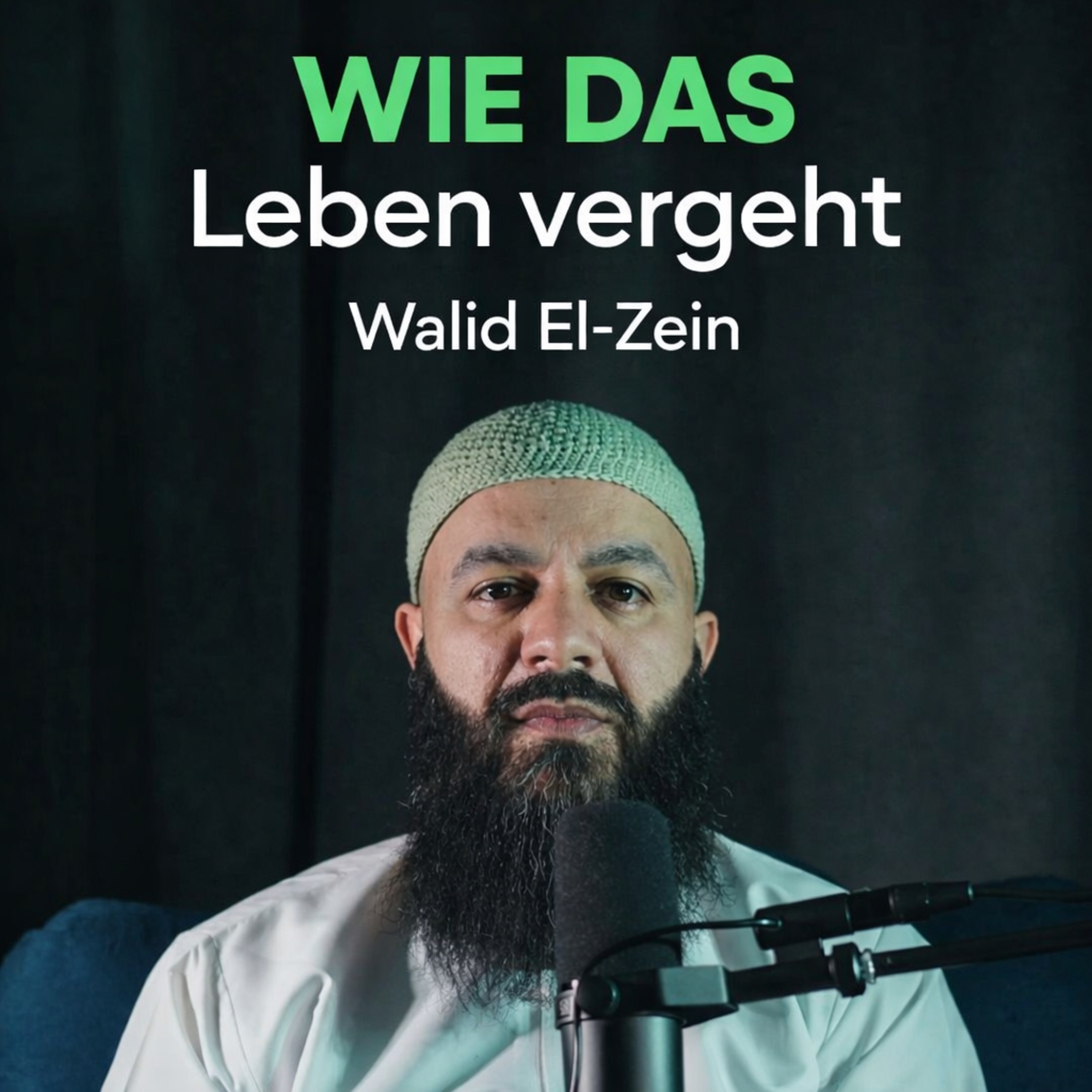 Wie das Leben vergeht - Walid El-Zein episode artwork