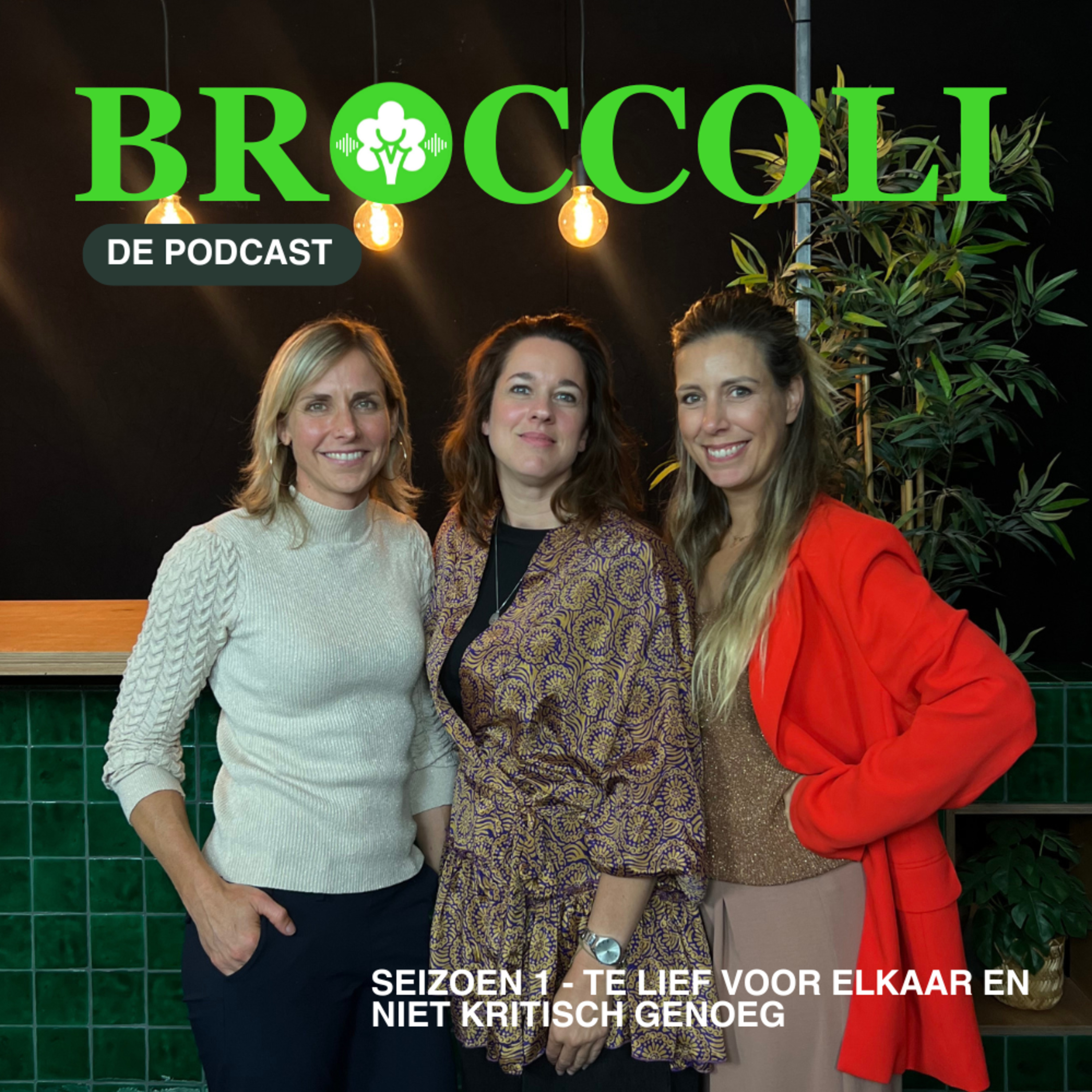Afl. 11: Te lief voor elkaar en niet kritisch genoeg. Hoe je teams helpt verantwoordelijkheid te nemen zonder de sfeer te verliezen  episode artwork