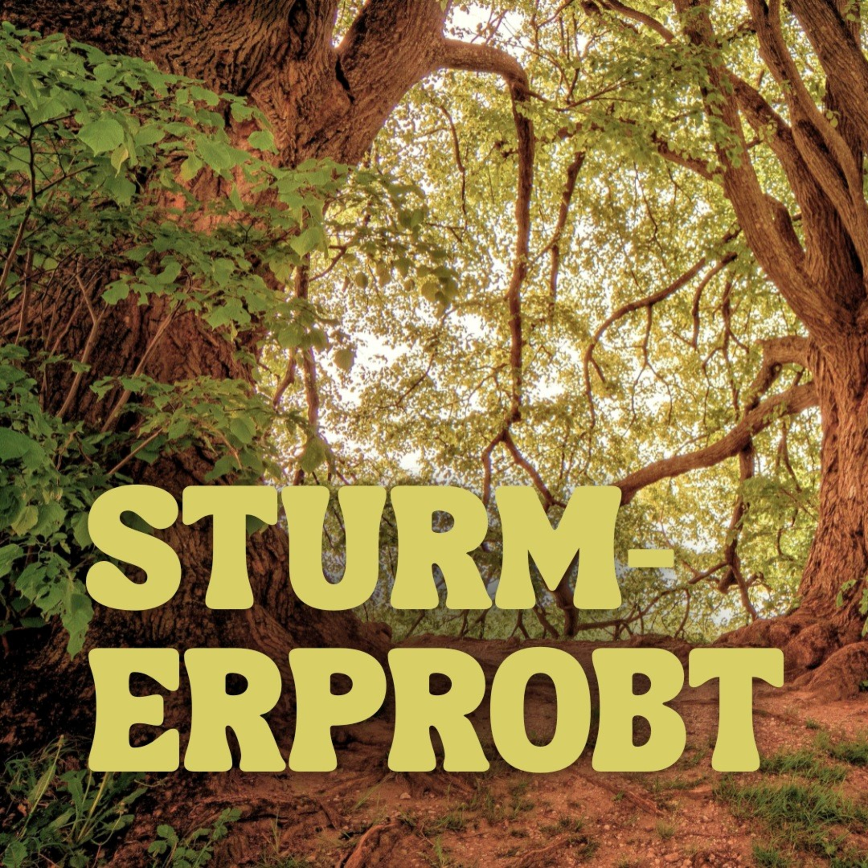 Sturmerprobt - Teil 1 - 1.02.2026 - Mara Massar episode artwork