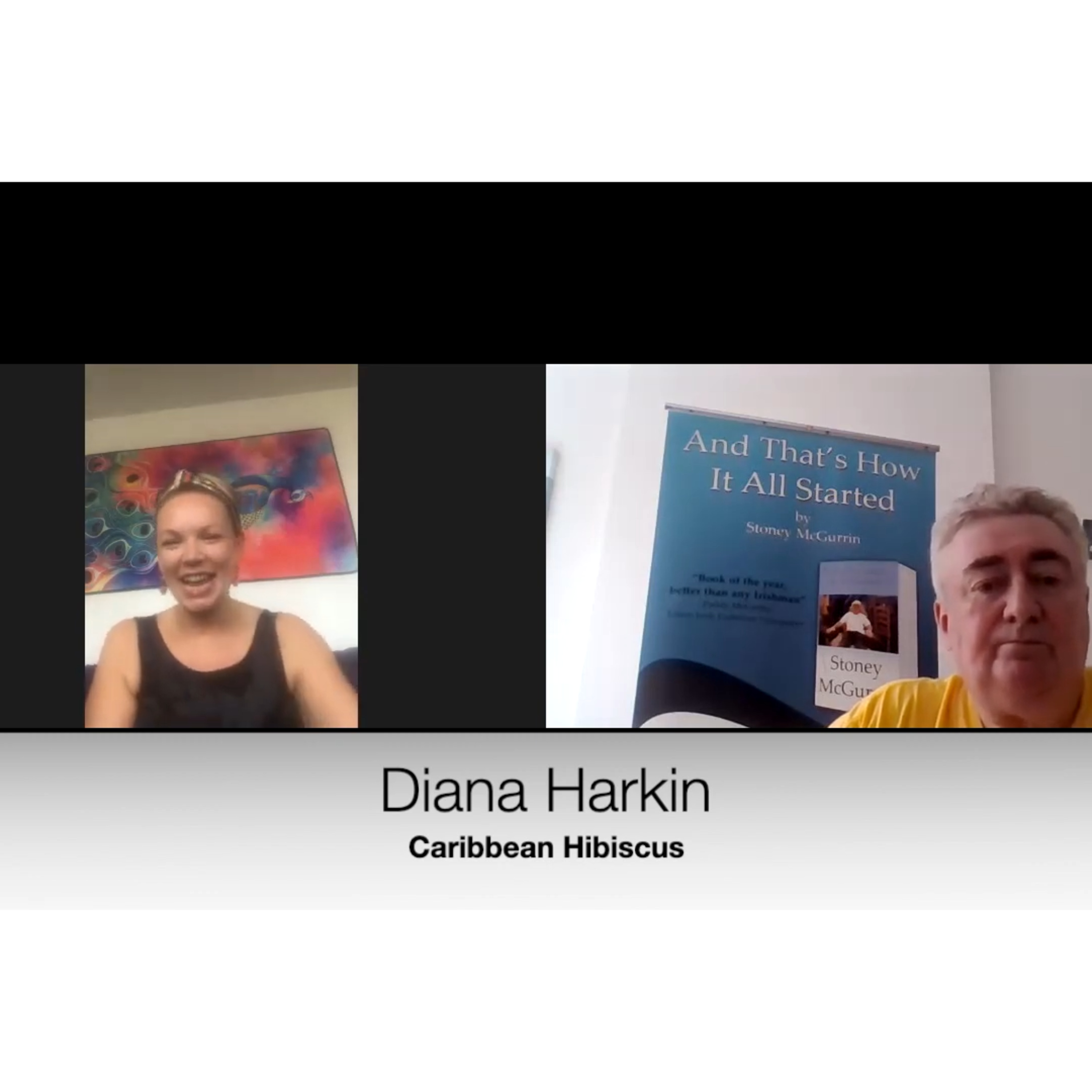 John D. Healy talks with Diana Harkin of Drink Caribbean Hibiscus | It's good to talk