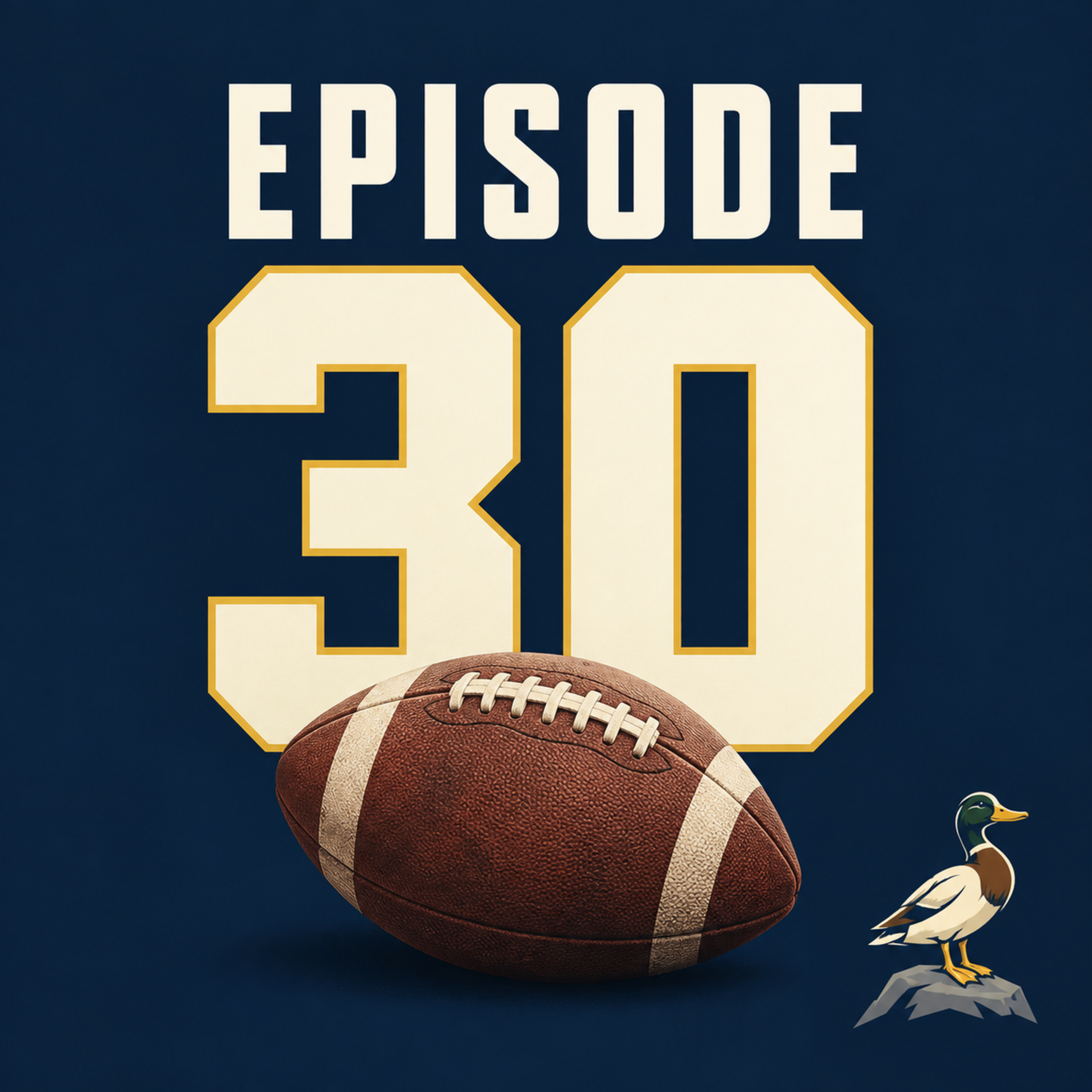 Episode 30: NFL Fan Forecast
