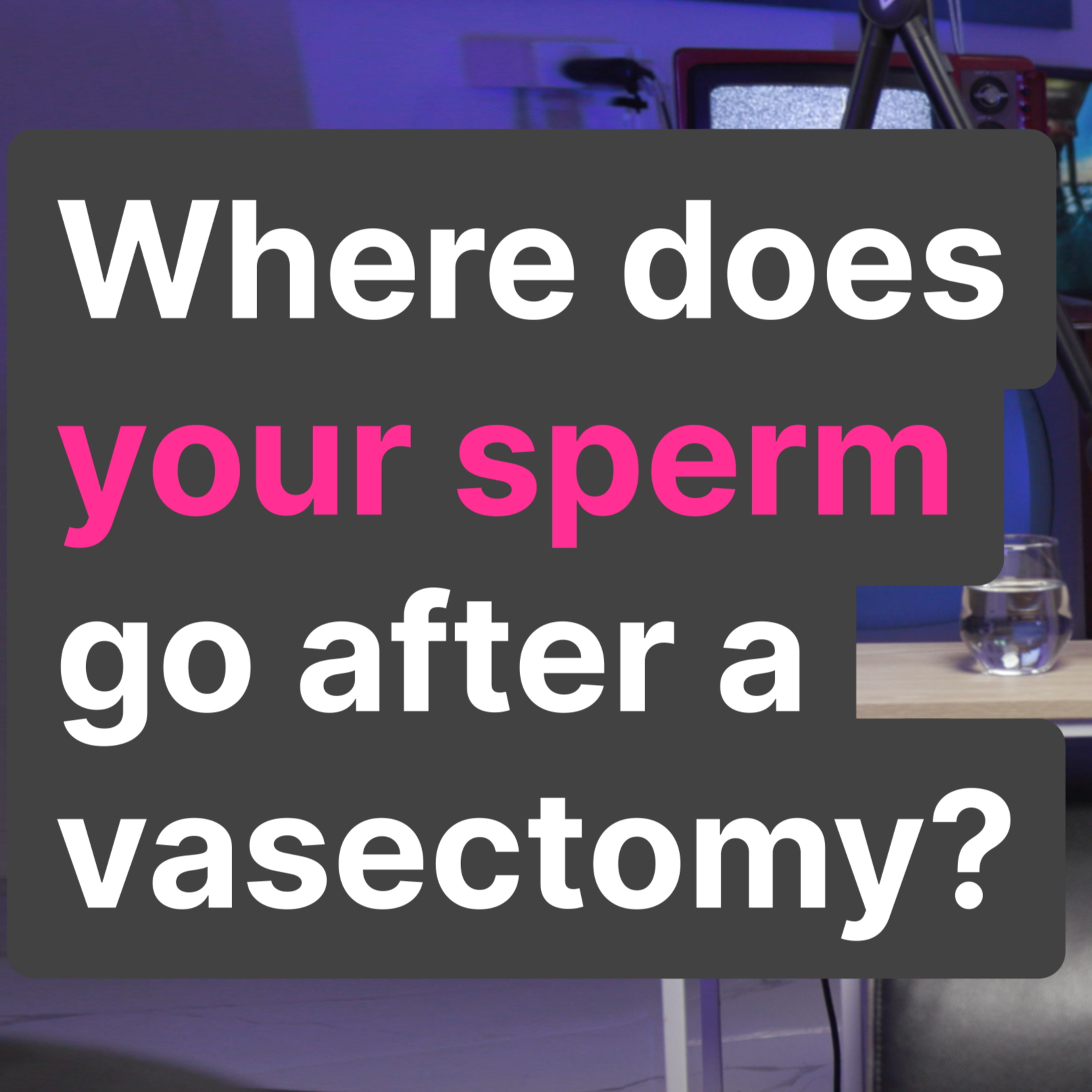 Cutting to the chase on vasectomies with Dr Snip | Ascend Your Story
