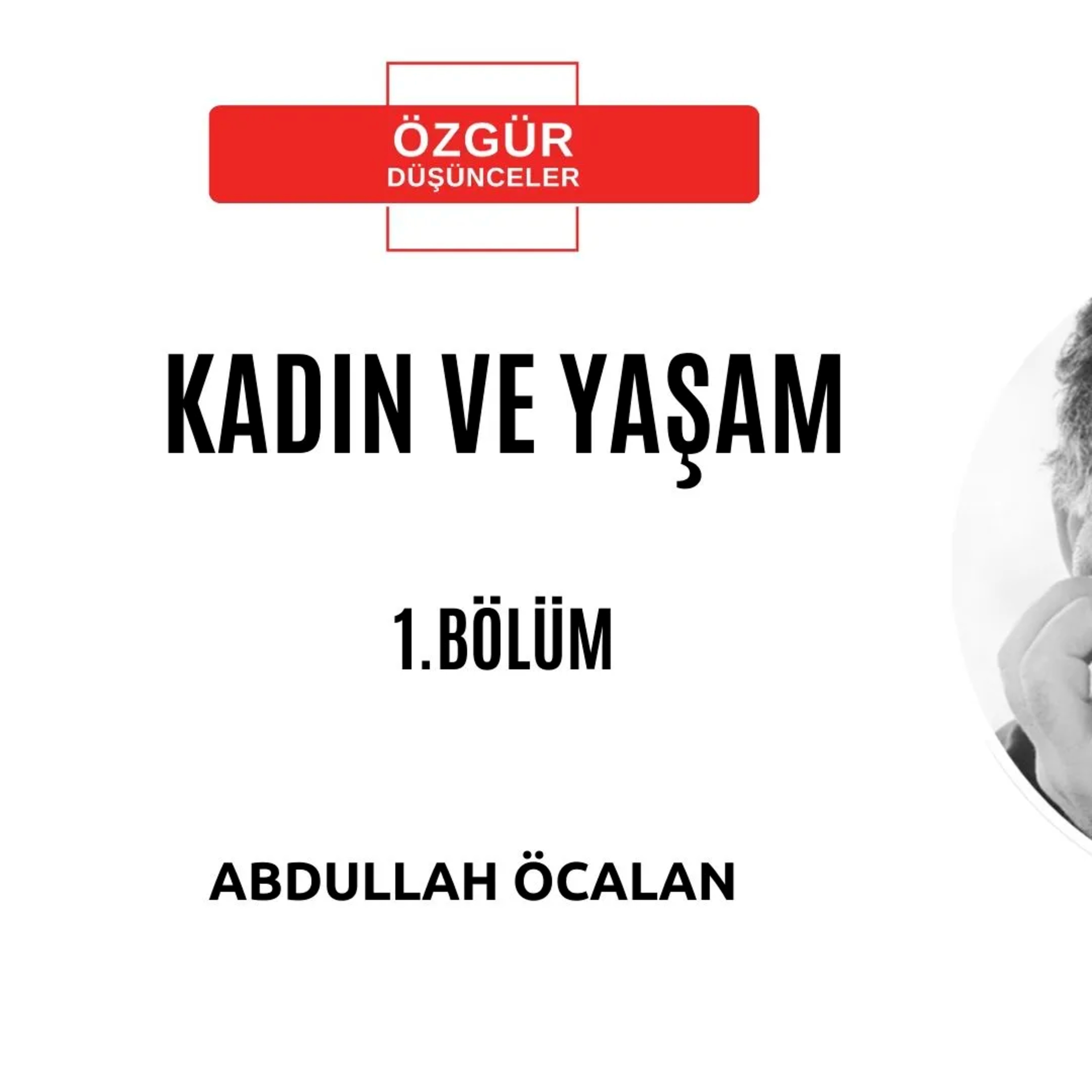 BİR DÖNÜŞÜM ÇAĞRISI ABDULLAH ÖCALAN episode artwork