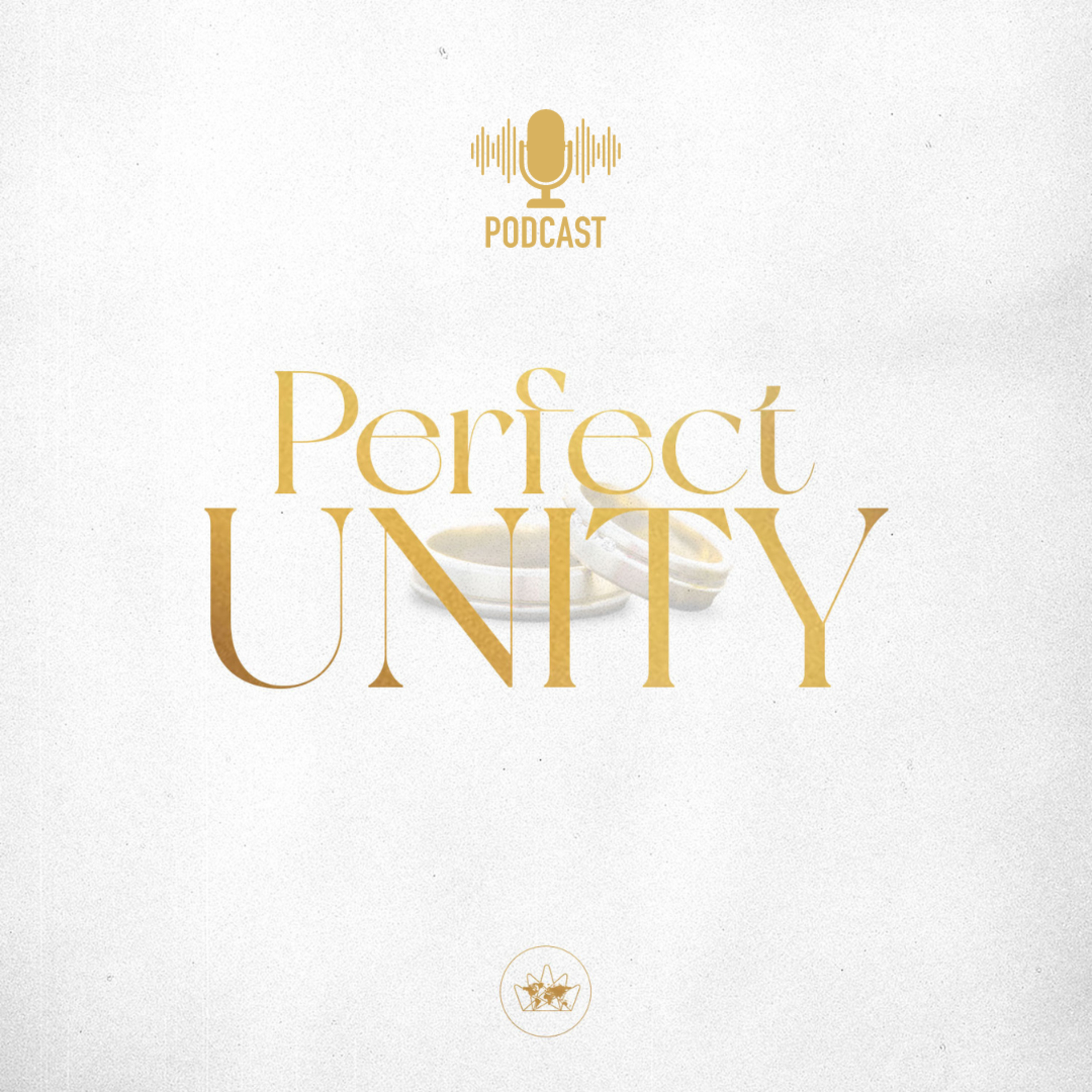 PERFECT UNITY #1 episode artwork